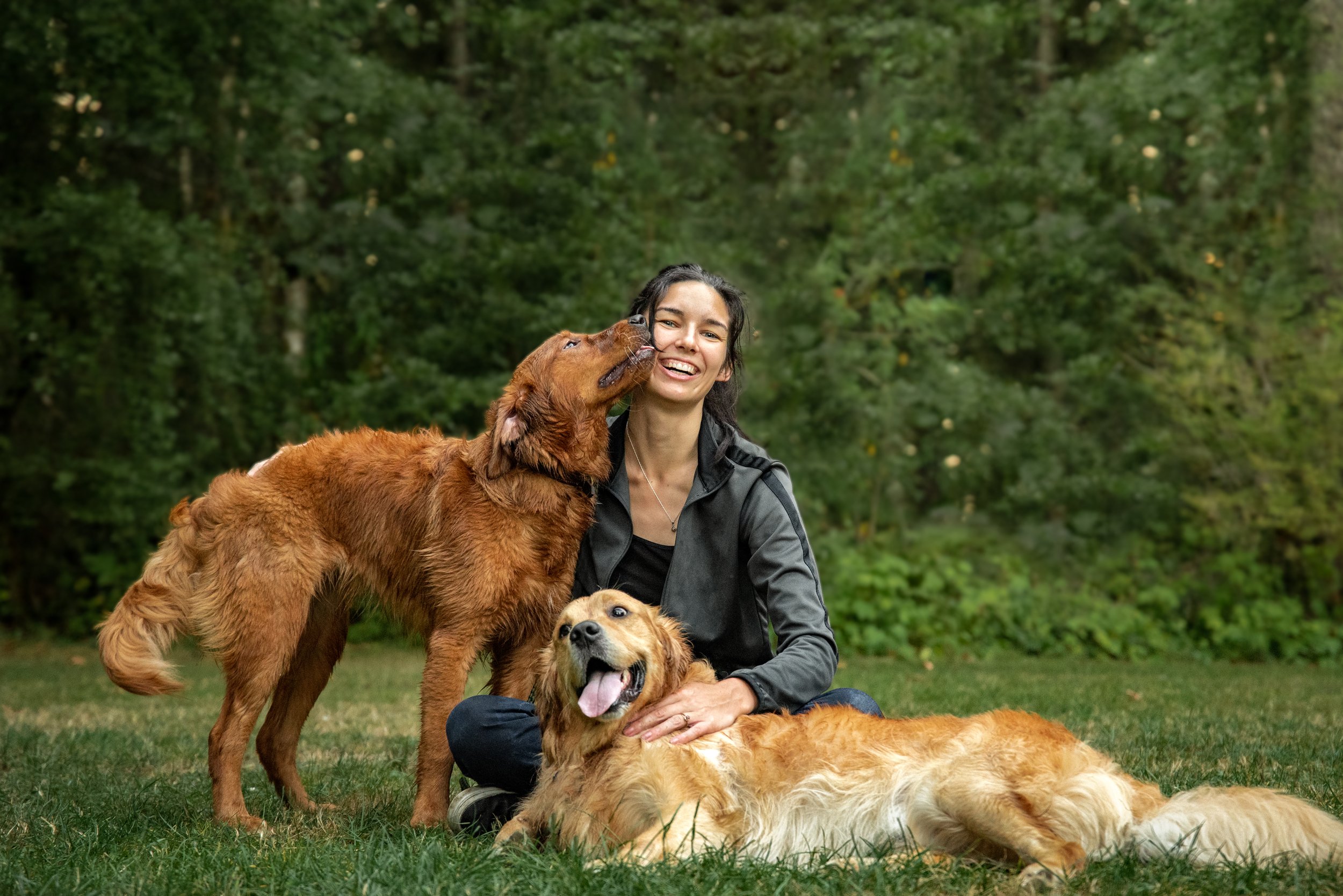 Candid portrait of a Golden Retriever breeder cuddling with two dogs in a field in Maple Valley