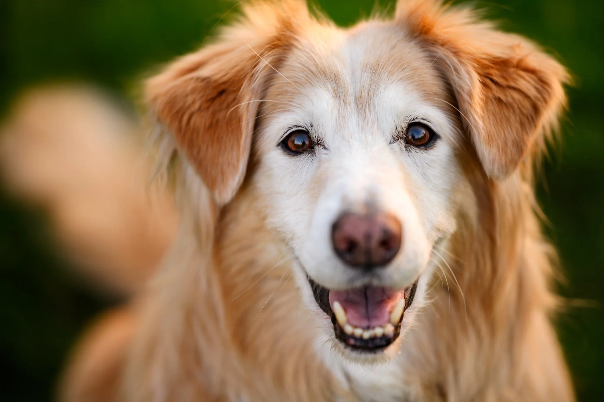 The Moment You Start Noticing the Gray