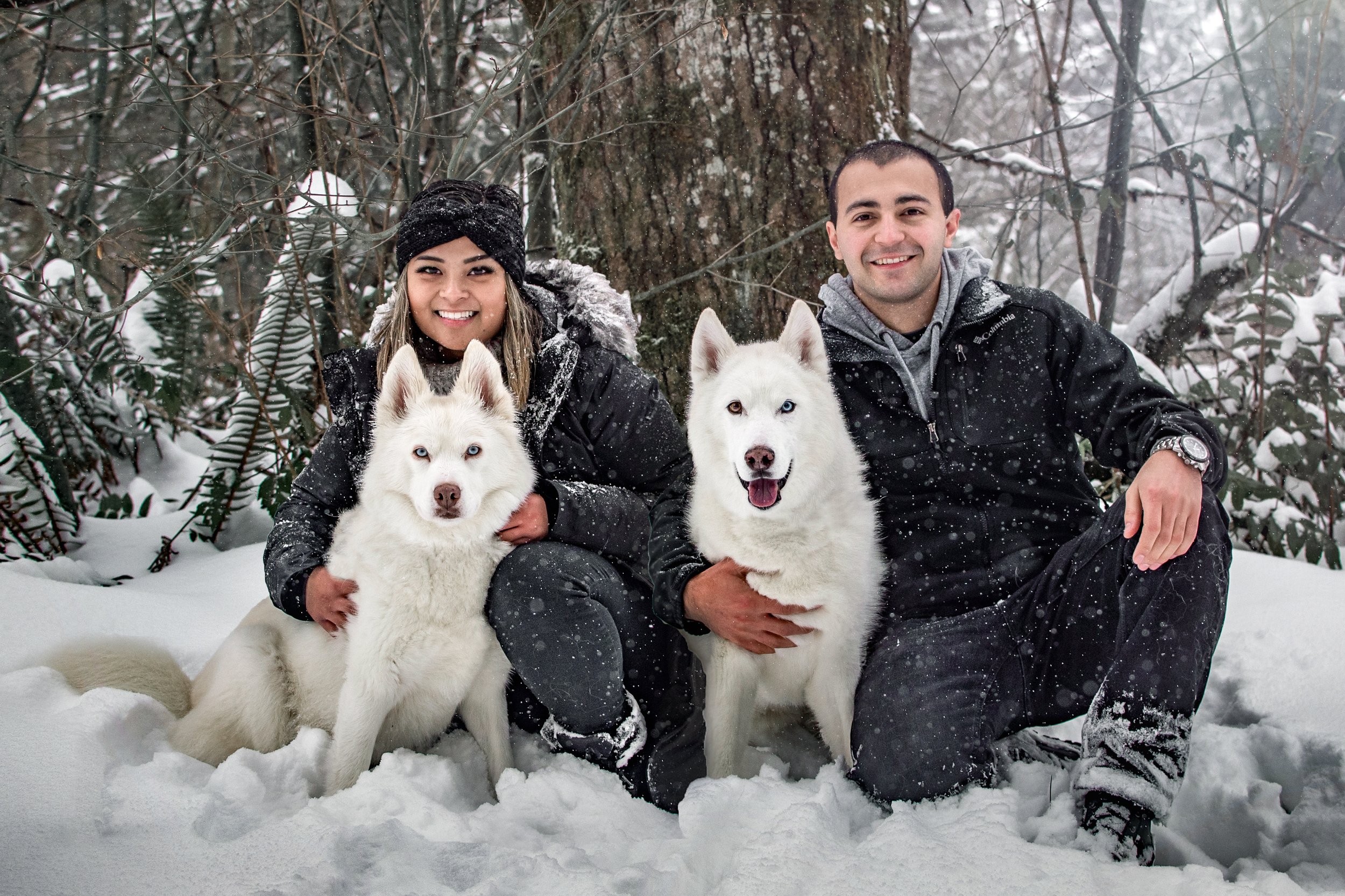 A young couple kneels in the snow, holding their two white huskies, in Snohomish