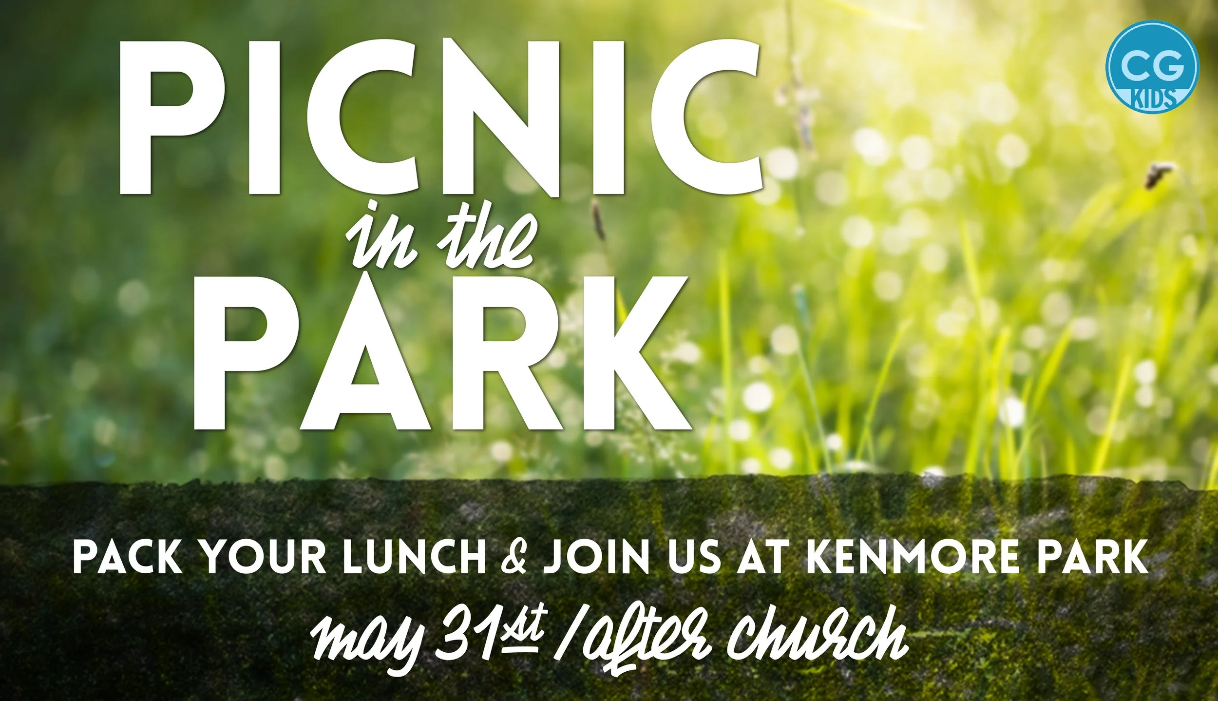 Picnic in the Park! 