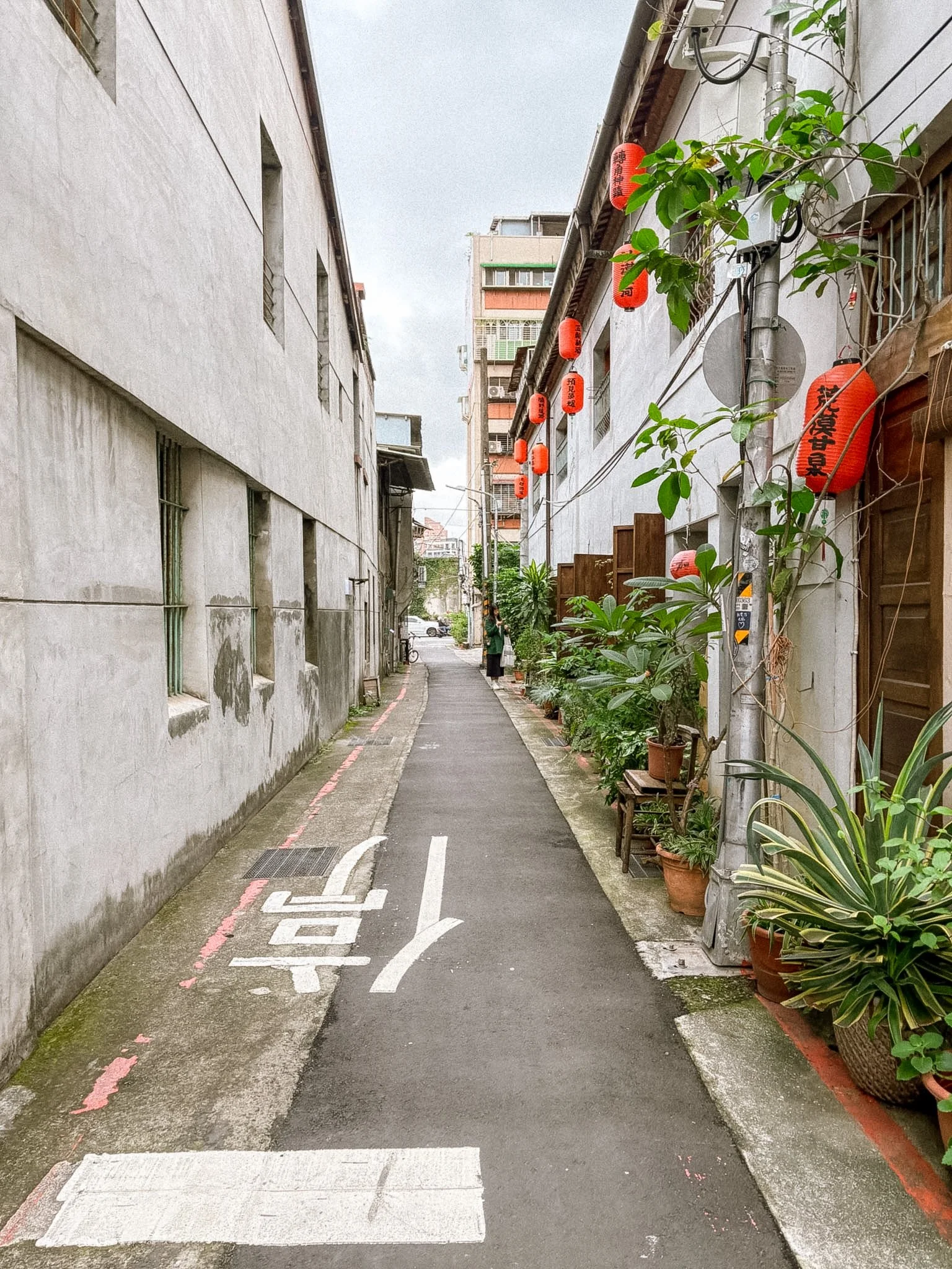 Quiet Dihua Street alley with red lanterns, greenery, and traditional architecture in Taipei