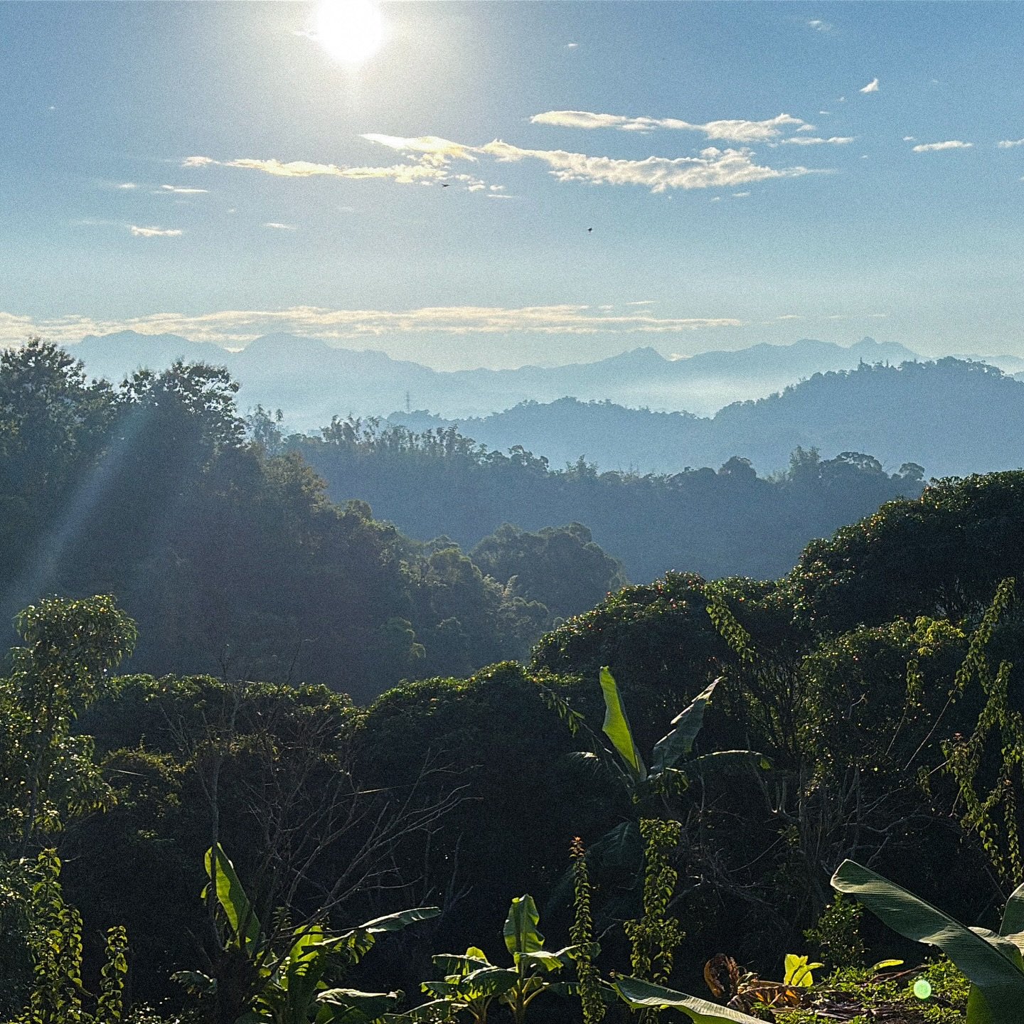 have you ever been on a hike where you just can&rsquo;t wait to go back?

that&rsquo;s how I felt when we went hiking at Dakeng Scenic Area. Even though my parents and I were hiking the &ldquo;normal&rdquo; 9-1 trail, it was still quite intense. I wa