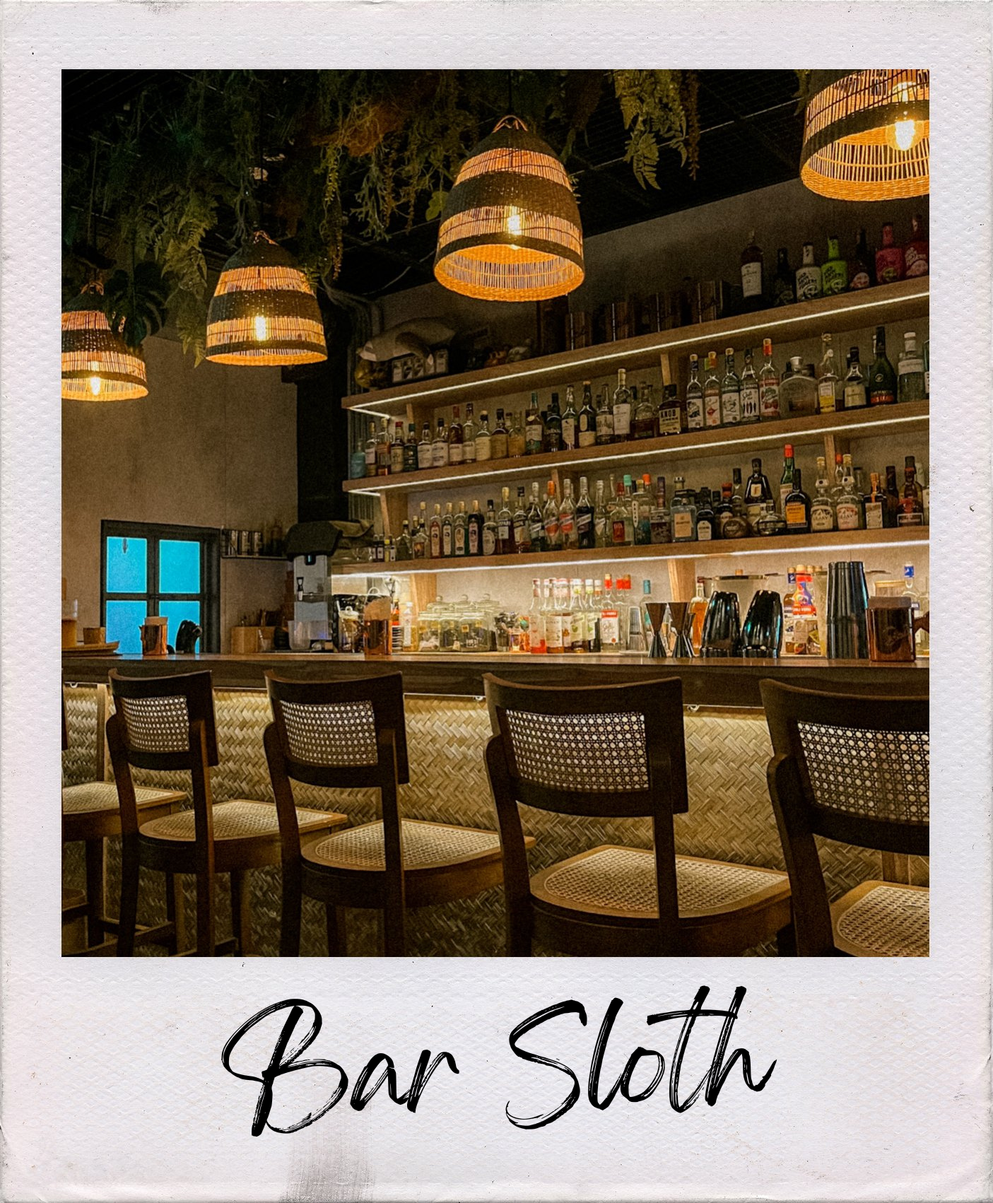 Bar Sloth with text cover.png
