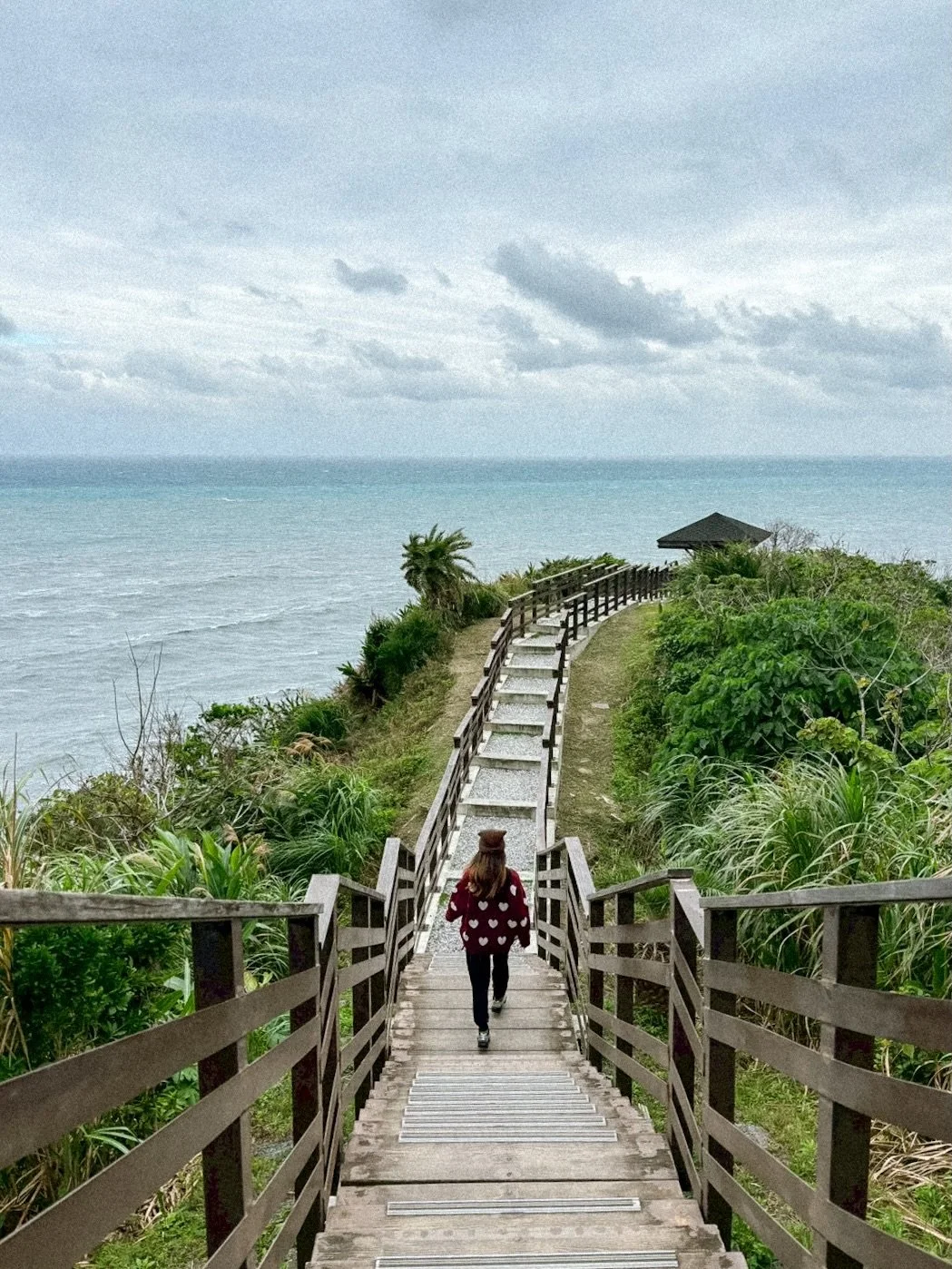 I thought this was going to be a quick stop&hellip; but the view completely caught me off guard 🌊

On our drive from Hualien to Taitung, we stopped at the Dashibishan Trail (recommended by my best friend) &mdash; and wow. 
The photos online don&rsqu