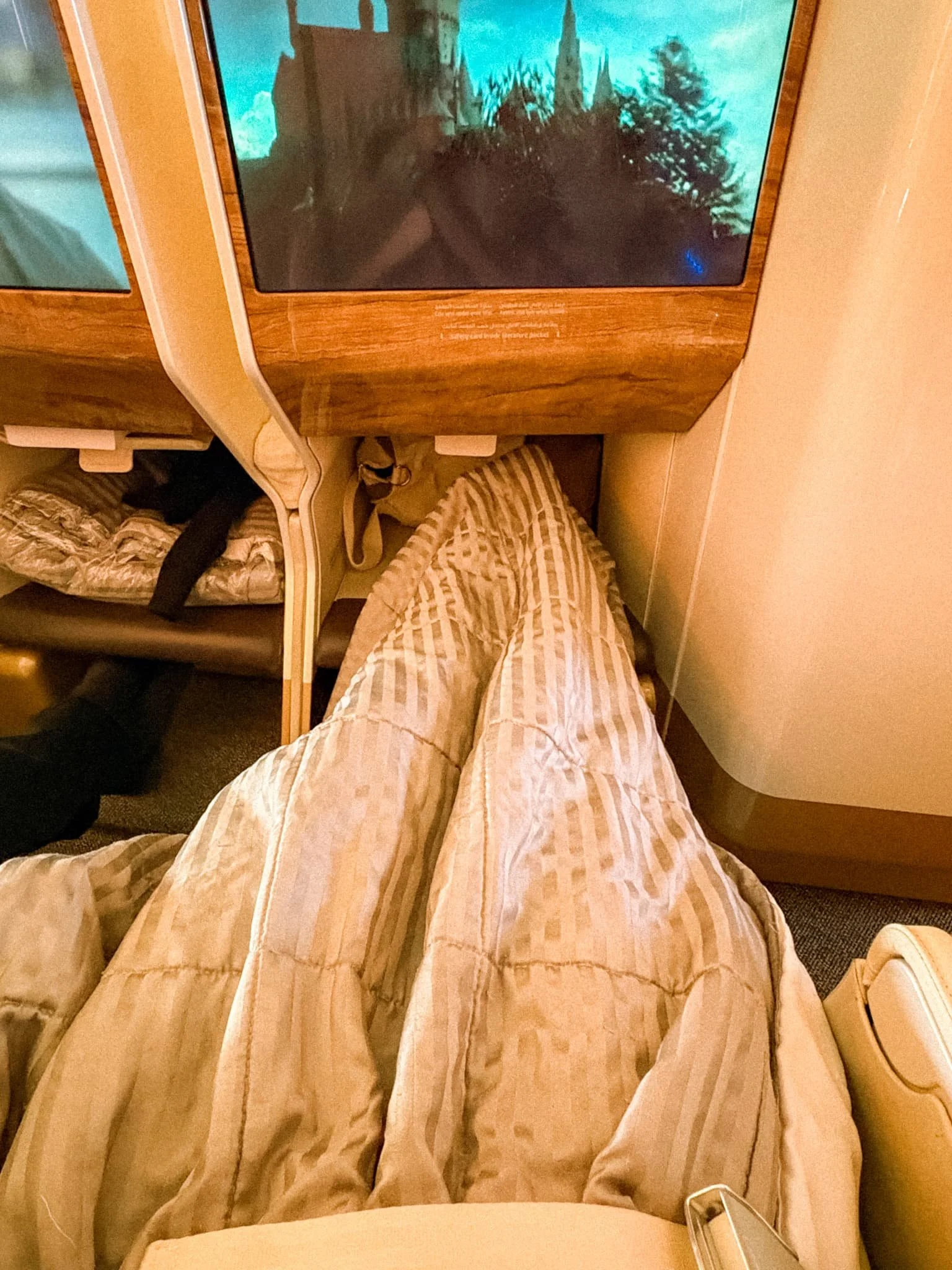 Emirates Business Class - lie flat leg.jpg