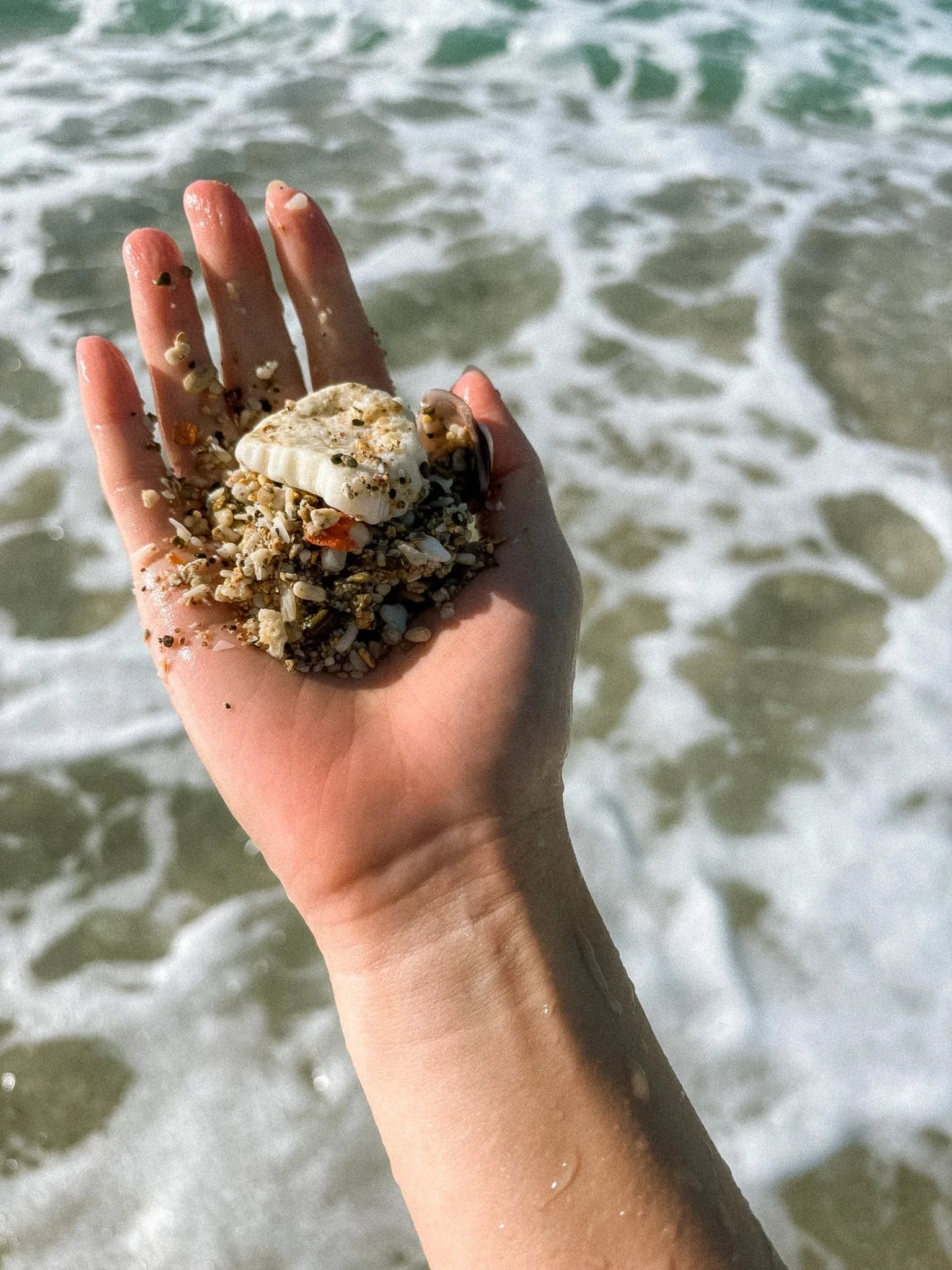 Baisha Beach Kenting - shells and corals.jpg