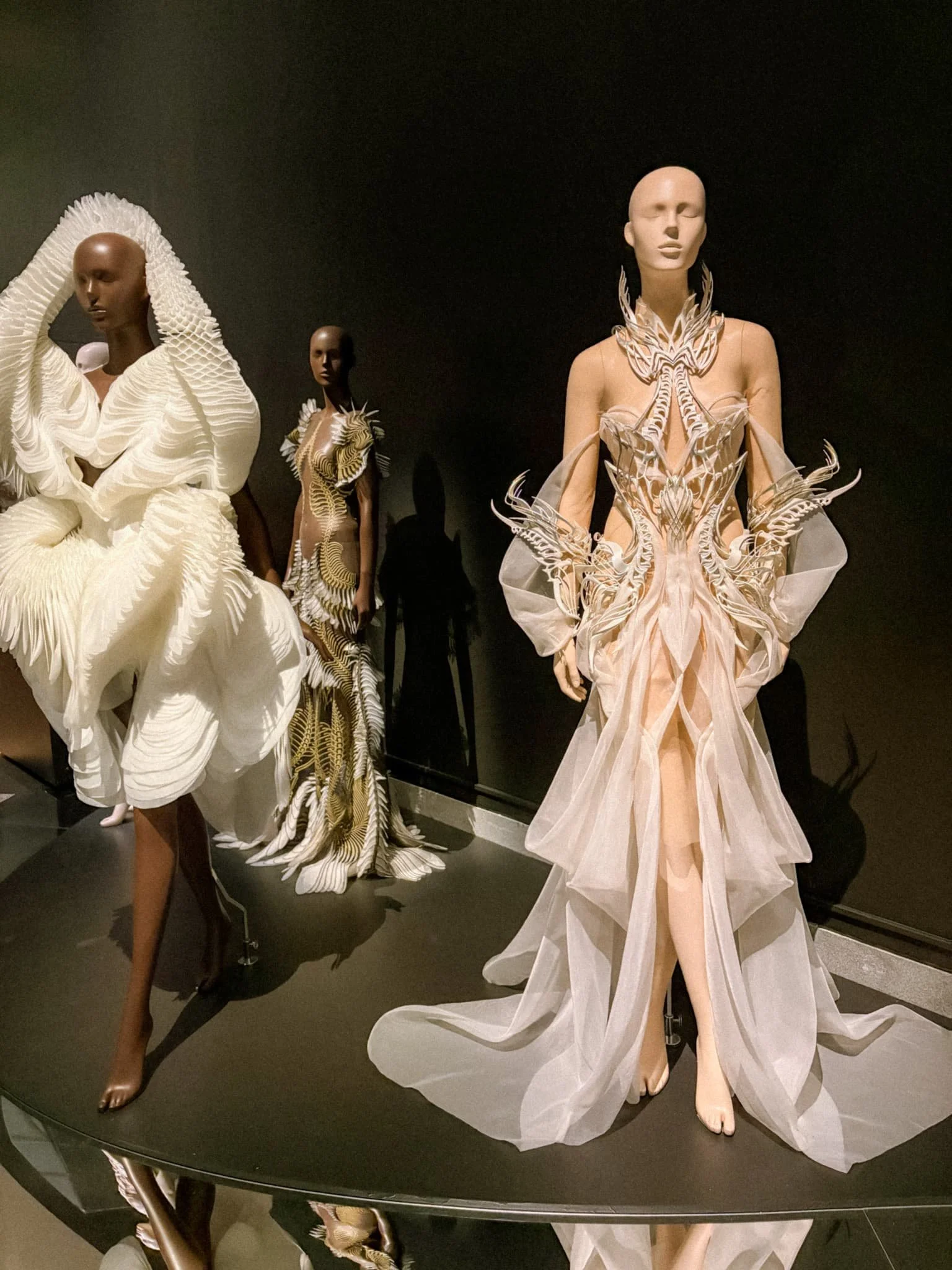 Brooklyn Museum - Iris Van Herpen 2.jpg