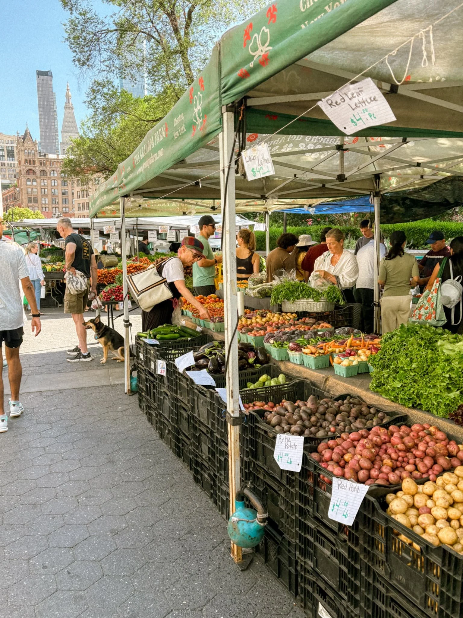 Union Square Manhattan farmers market.jpg