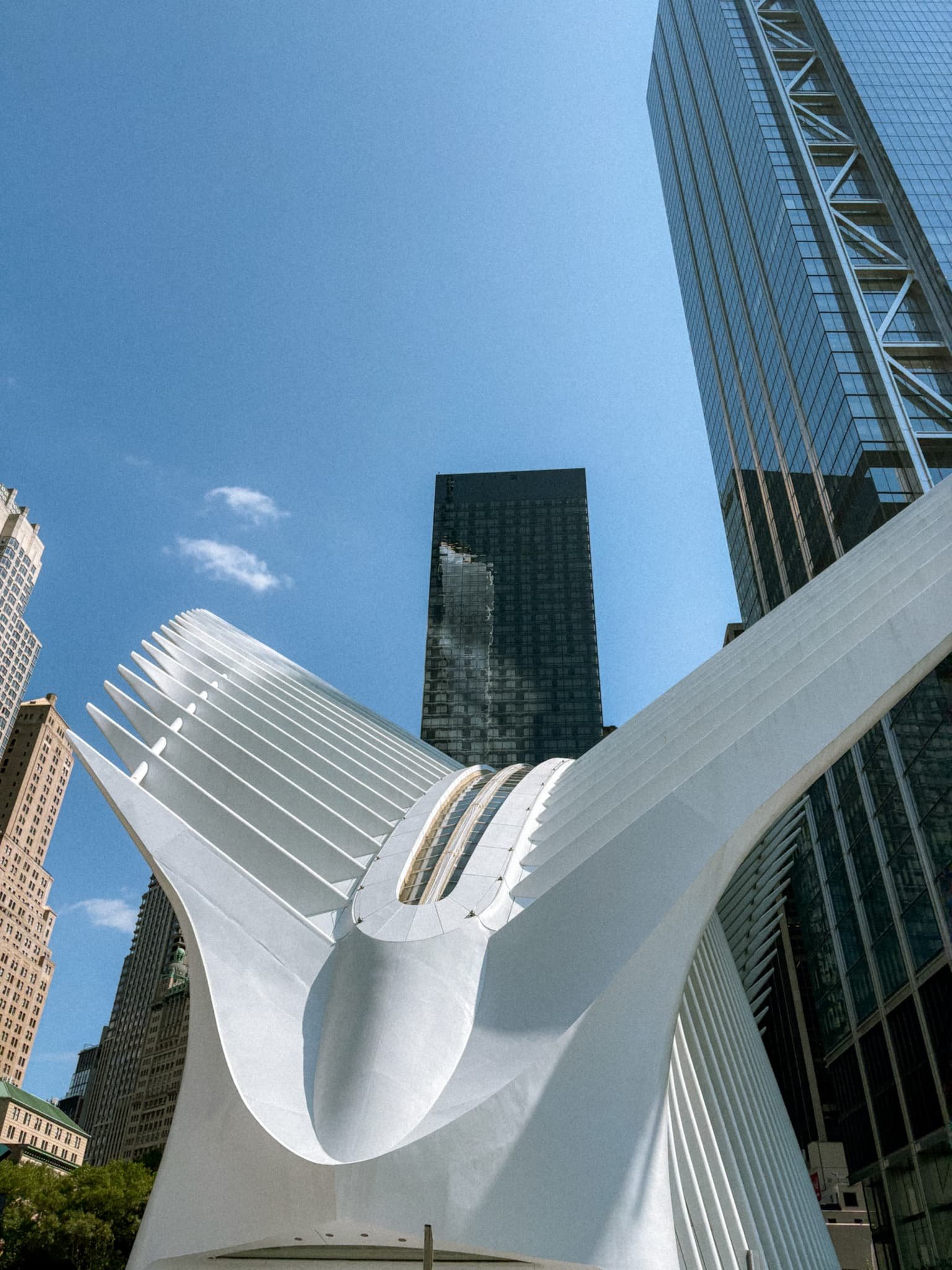 Oculus Manhattan - exterior ribs.jpg
