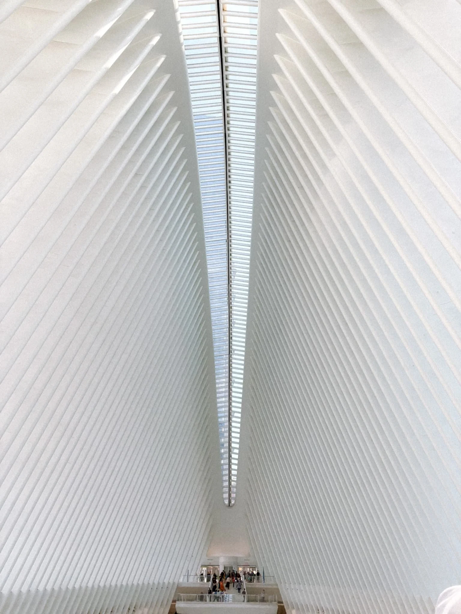Oculus Manhattan - interior skylight.jpg