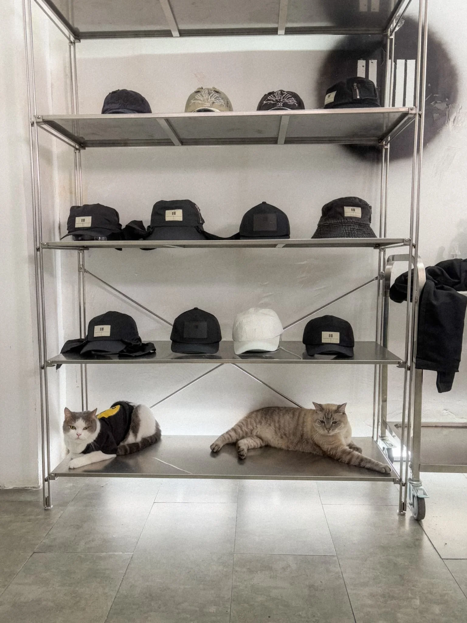 23SPTMBR Saigon - hats and cats.jpg