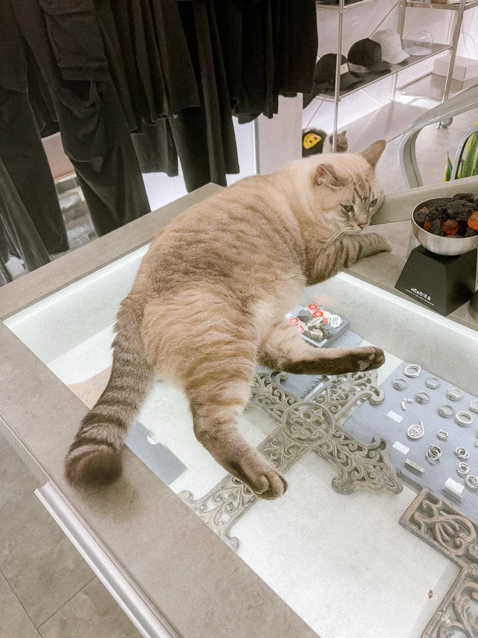 23SPTMBR Saigon - jewelry and cat.jpg