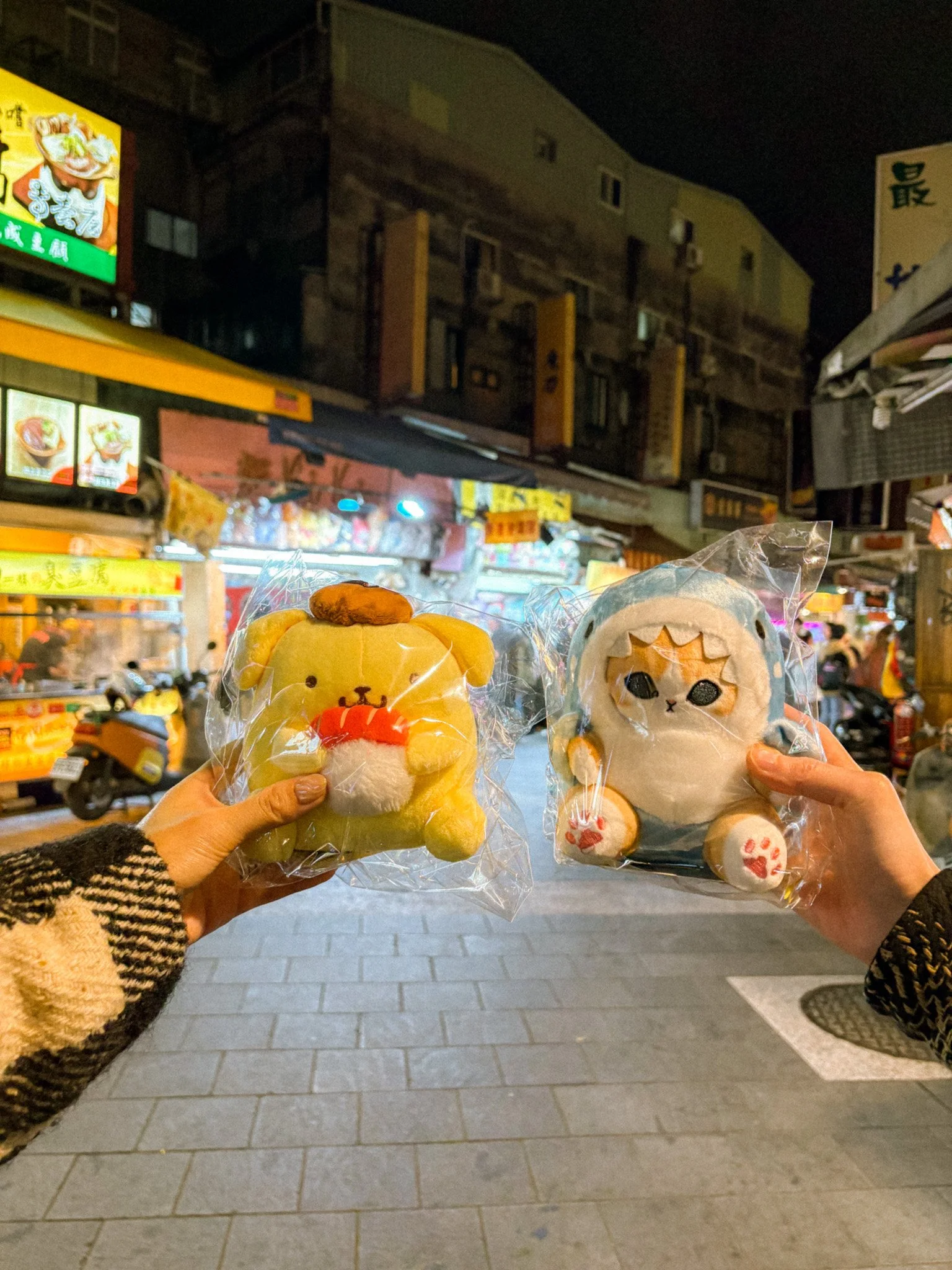 Holding plush toys won from claw machine games at Shilin Night Market with the busy market behind