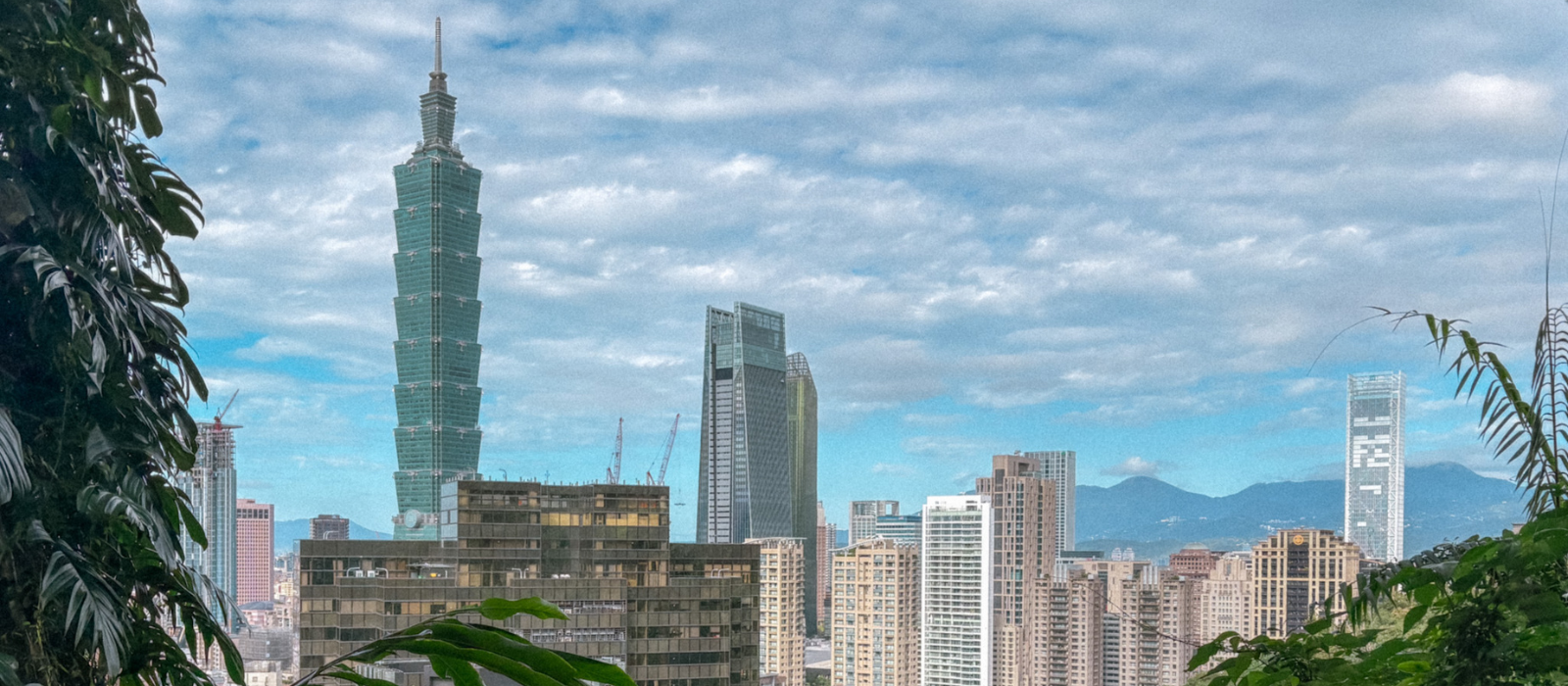 City skyline view with Taipei 101 from Elephant Mountain trail, showing the famous hiking viewpoint in Xinyi District