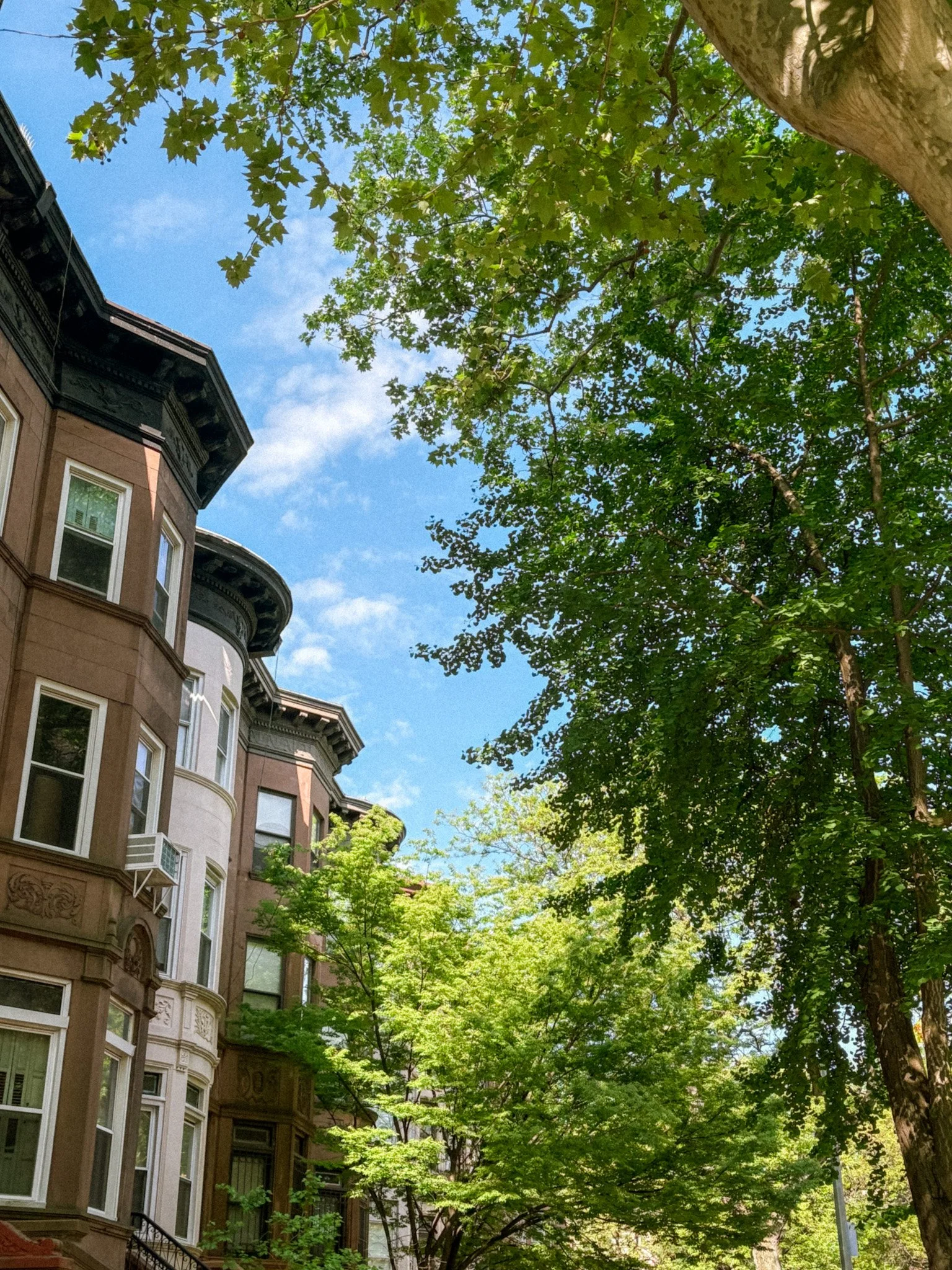 Brooklyn - summer.jpg
