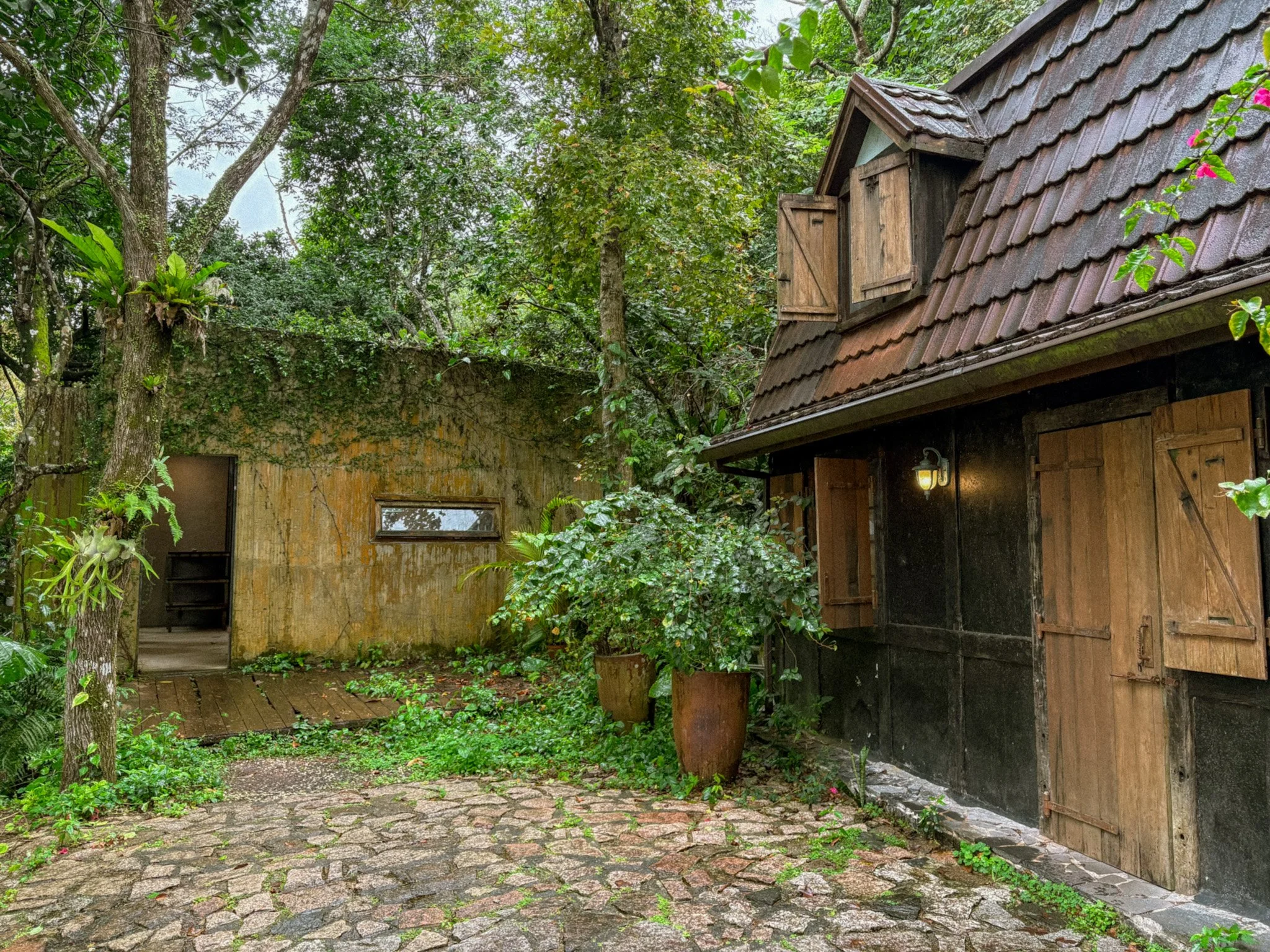Communal kitchen and lounge exterior at Deep Breath B&B surrounded by lush greenery in Hualien