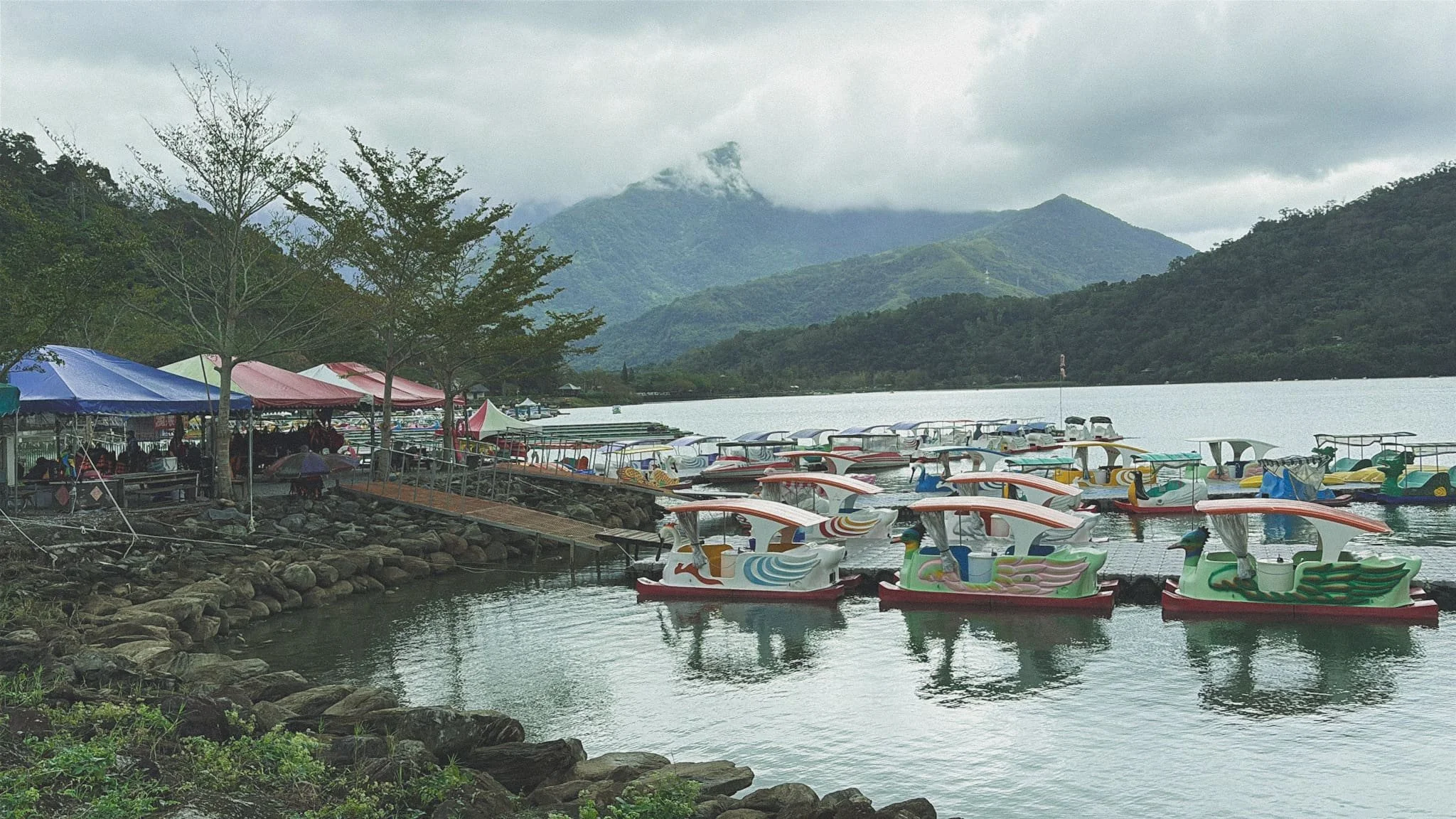 Colorful swan paddle boats docked at Liyu Lake 鯉魚潭 pier in Hualien Taiwan with misty mountains in the background