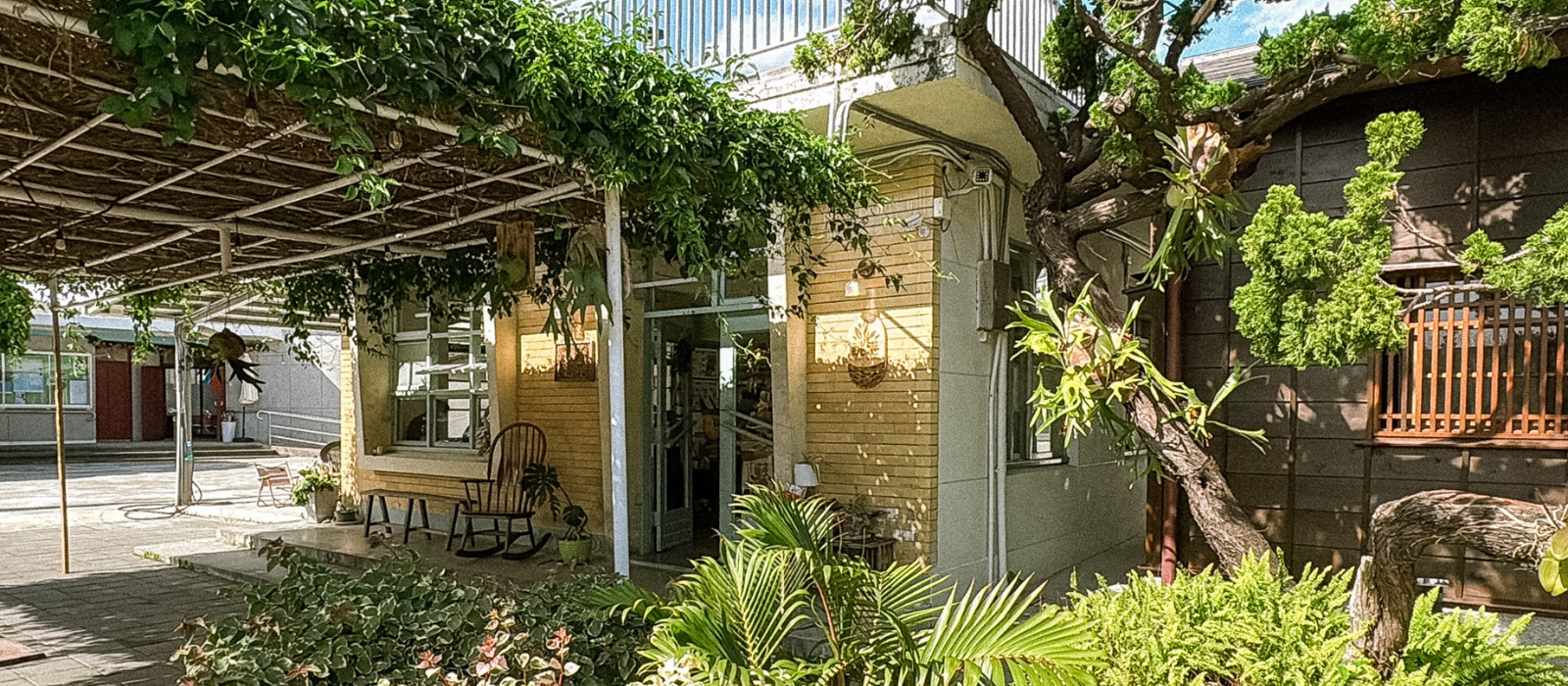 TiaoGang Cafe exterior in Taitung surrounded by lush greenery and trees, a hidden historic hospital-turned-cafe