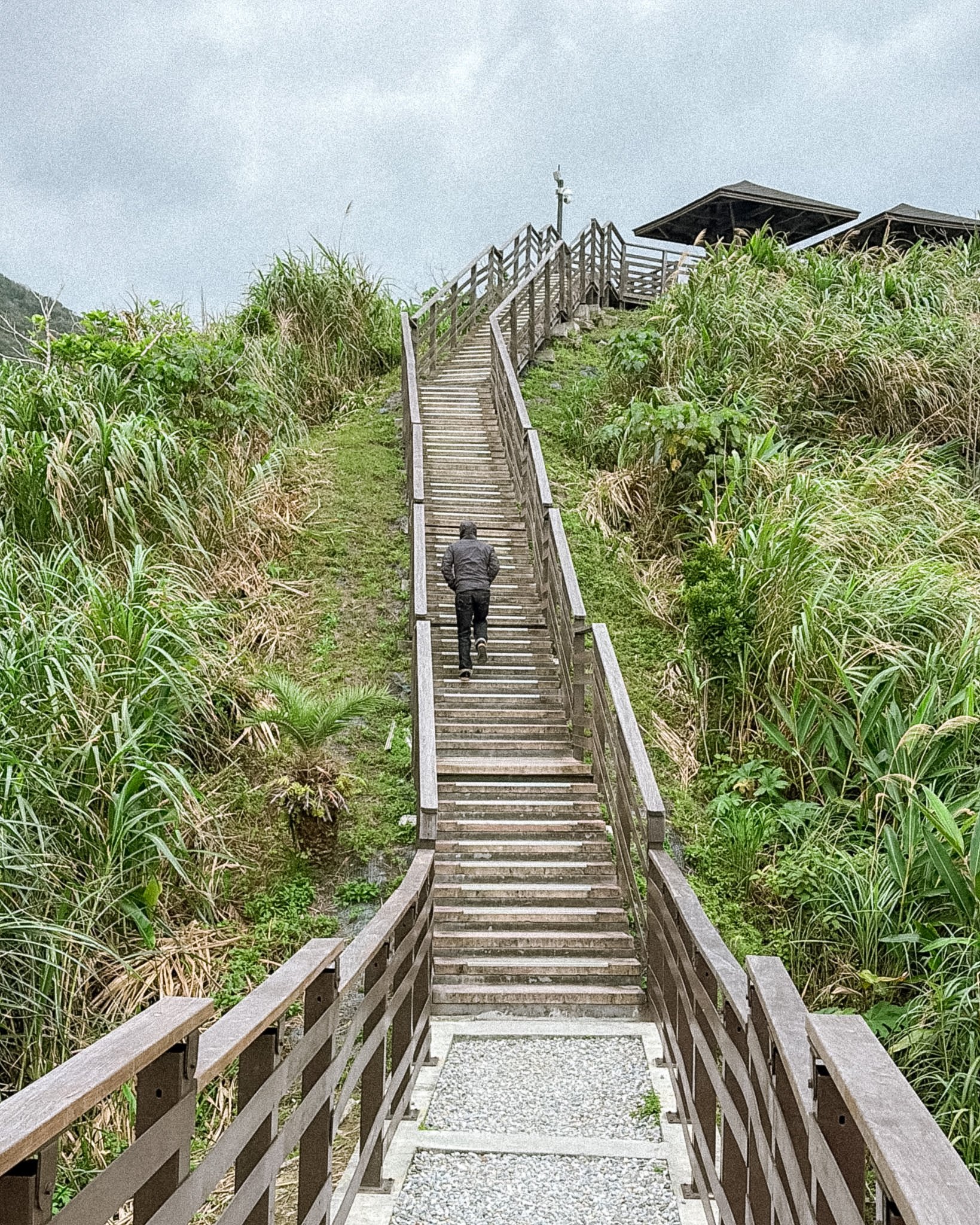 Hiker walking up Dashibishan Trail stairs surrounded by lush greenery in Hualien Taiwan