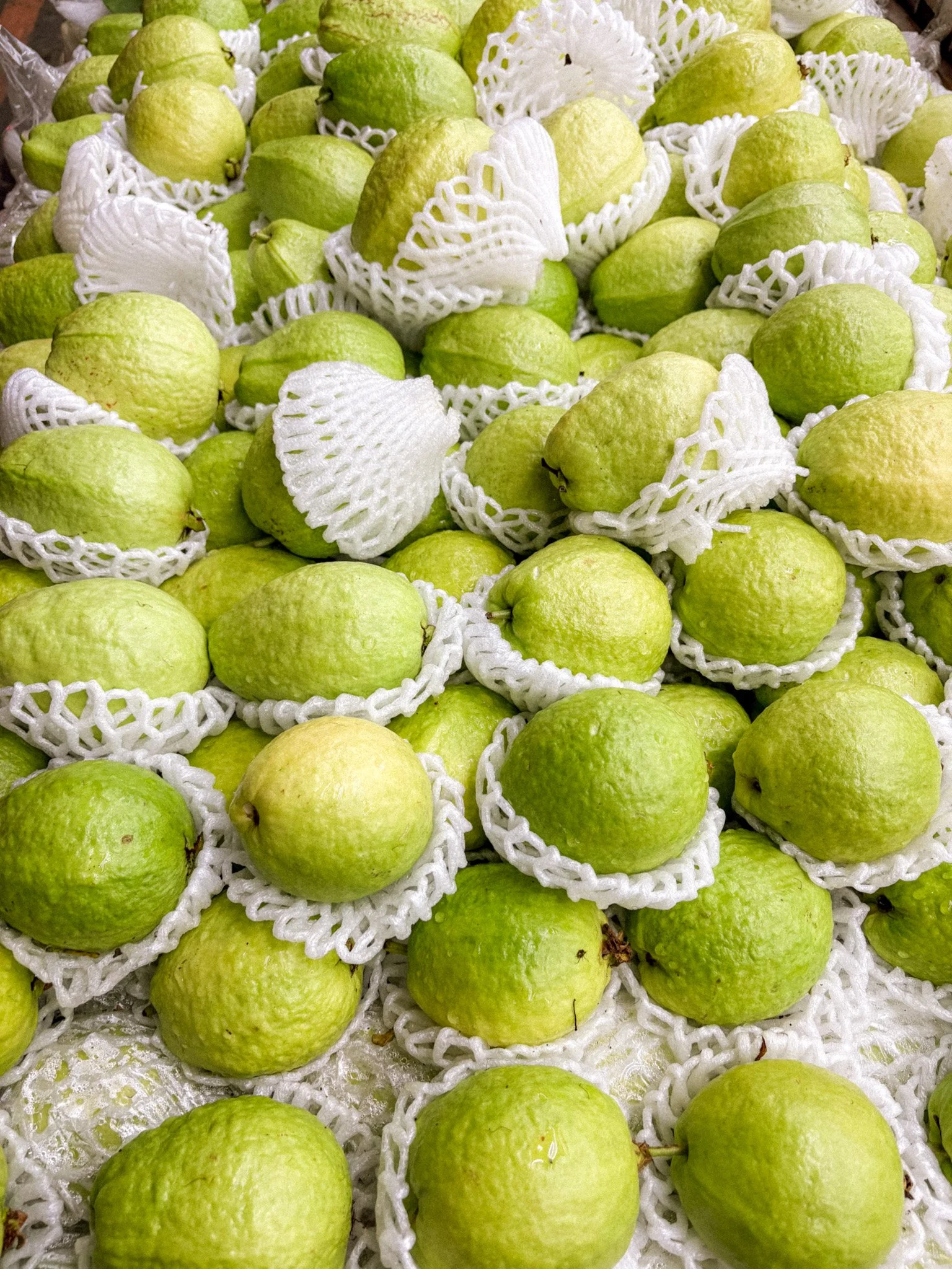 Pile of fresh green guavas wrapped in foam netting at a Taiwanese fruit stand