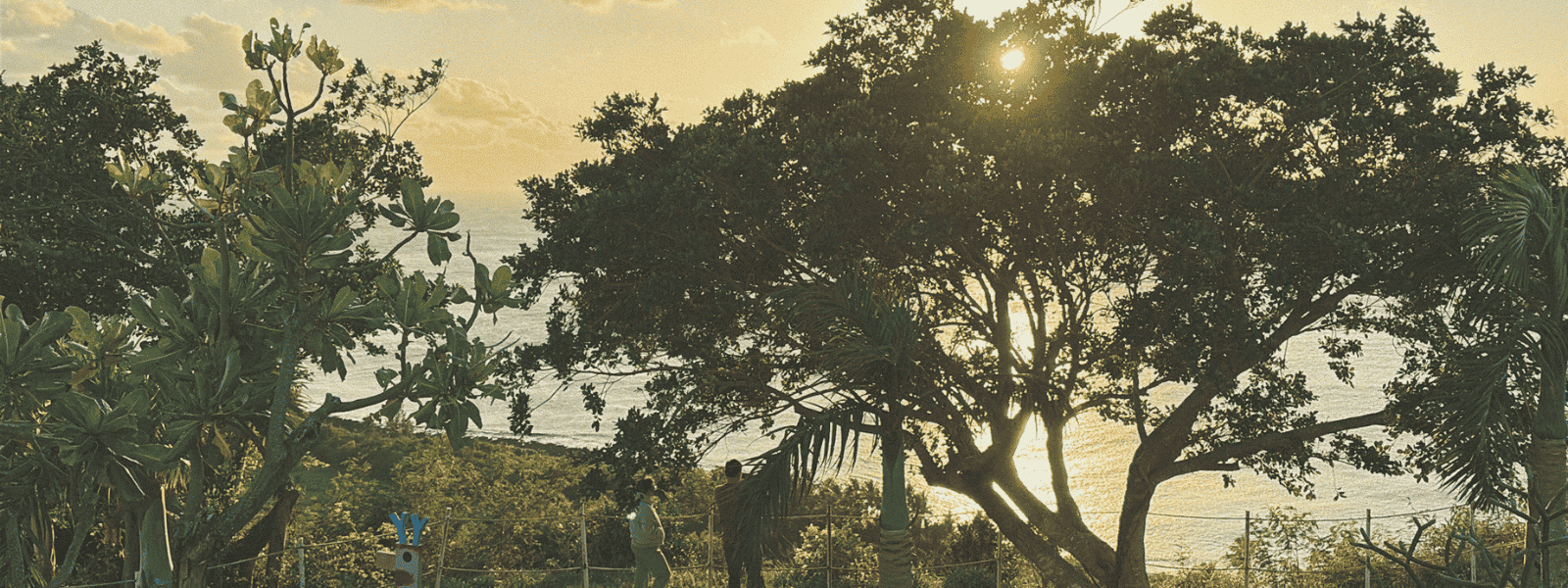 Sunset view through tropical trees at SkyeBay Club in Kenting Taiwan with ocean in the background