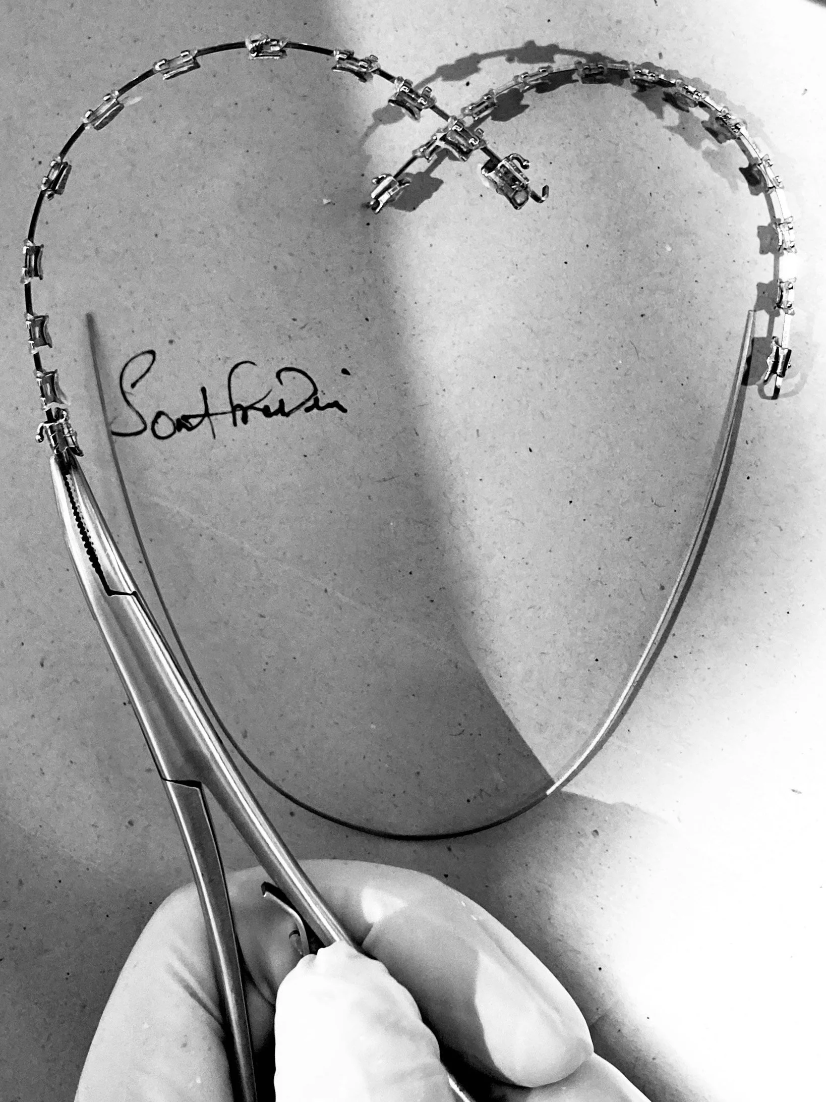 image_6487327 (9).JPG