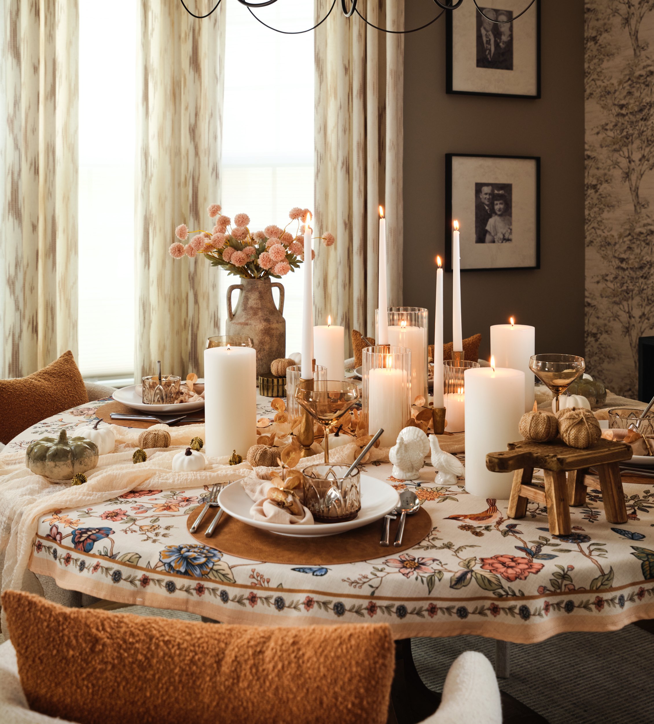 Bella - HV - October 2025 3.JPG