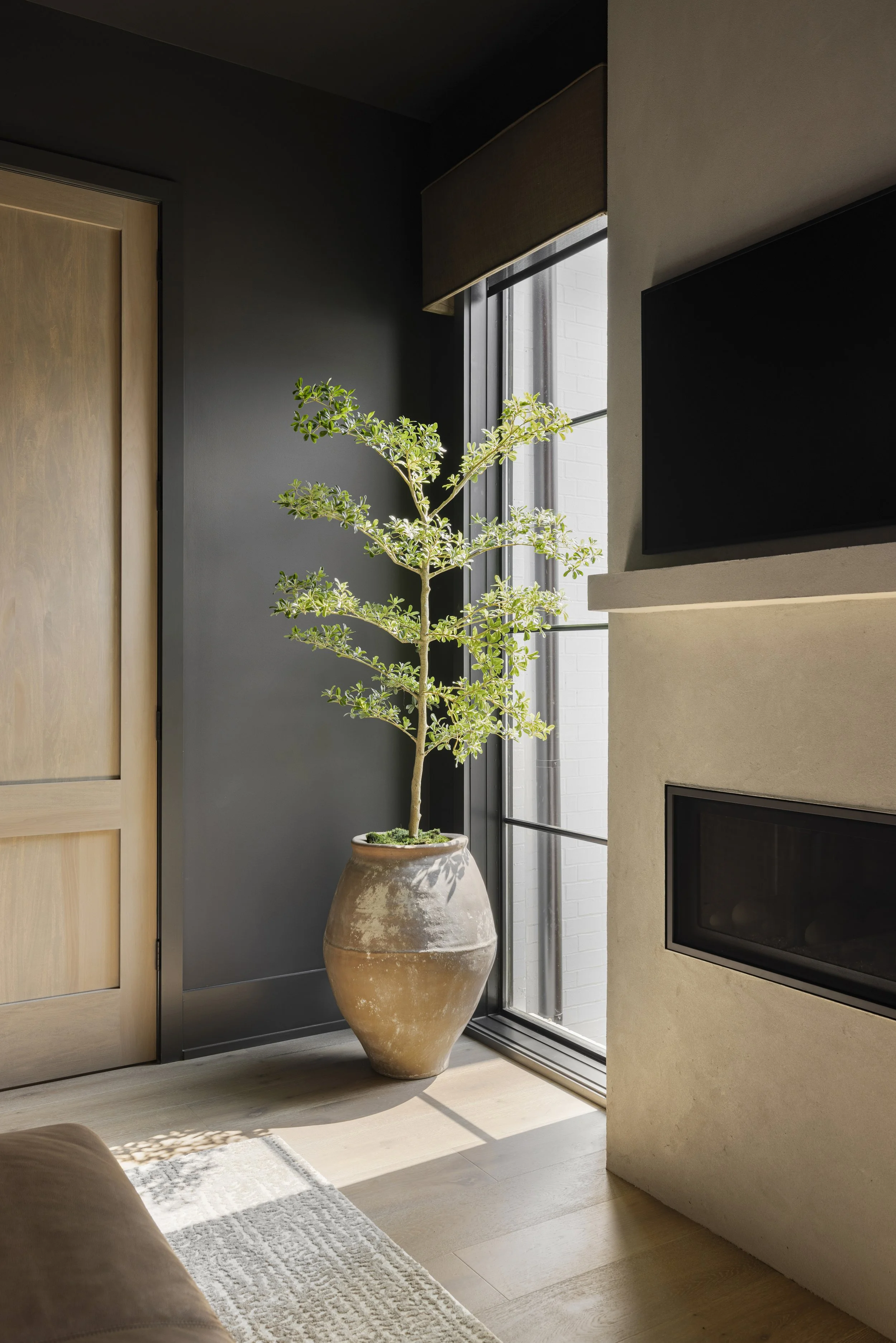 30_Bella_B_Home_Designs_Solstice.jpeg