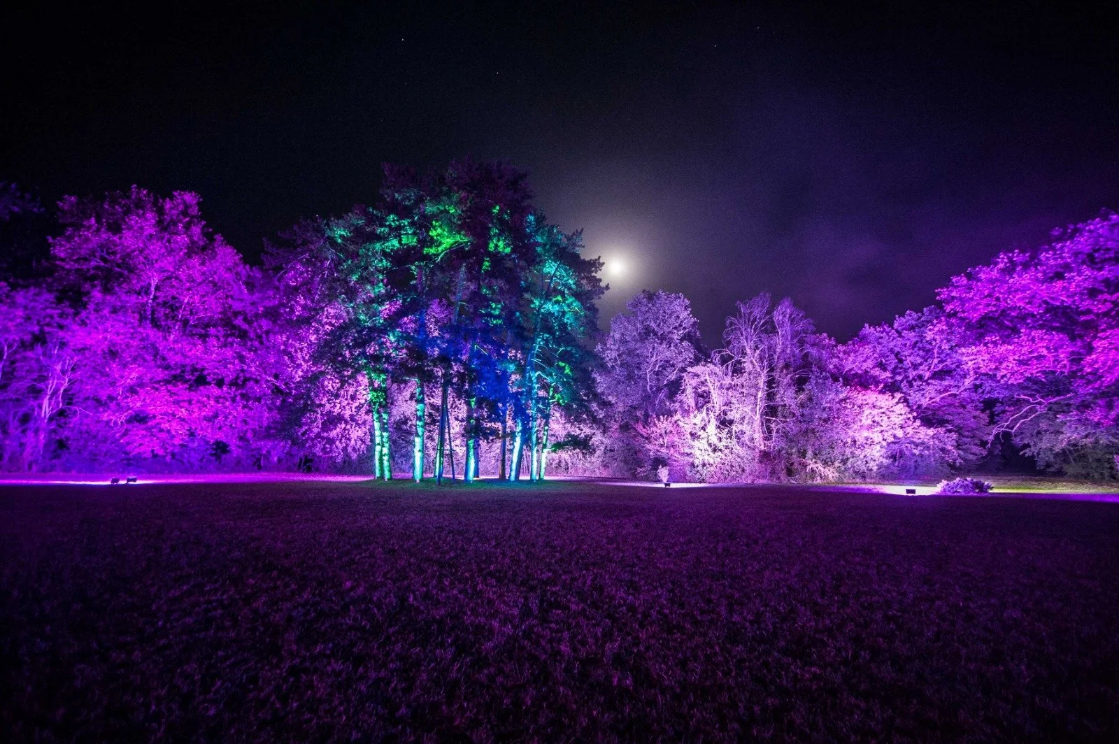 PHOTO-2021-10-06-20-27-43 2.jpg