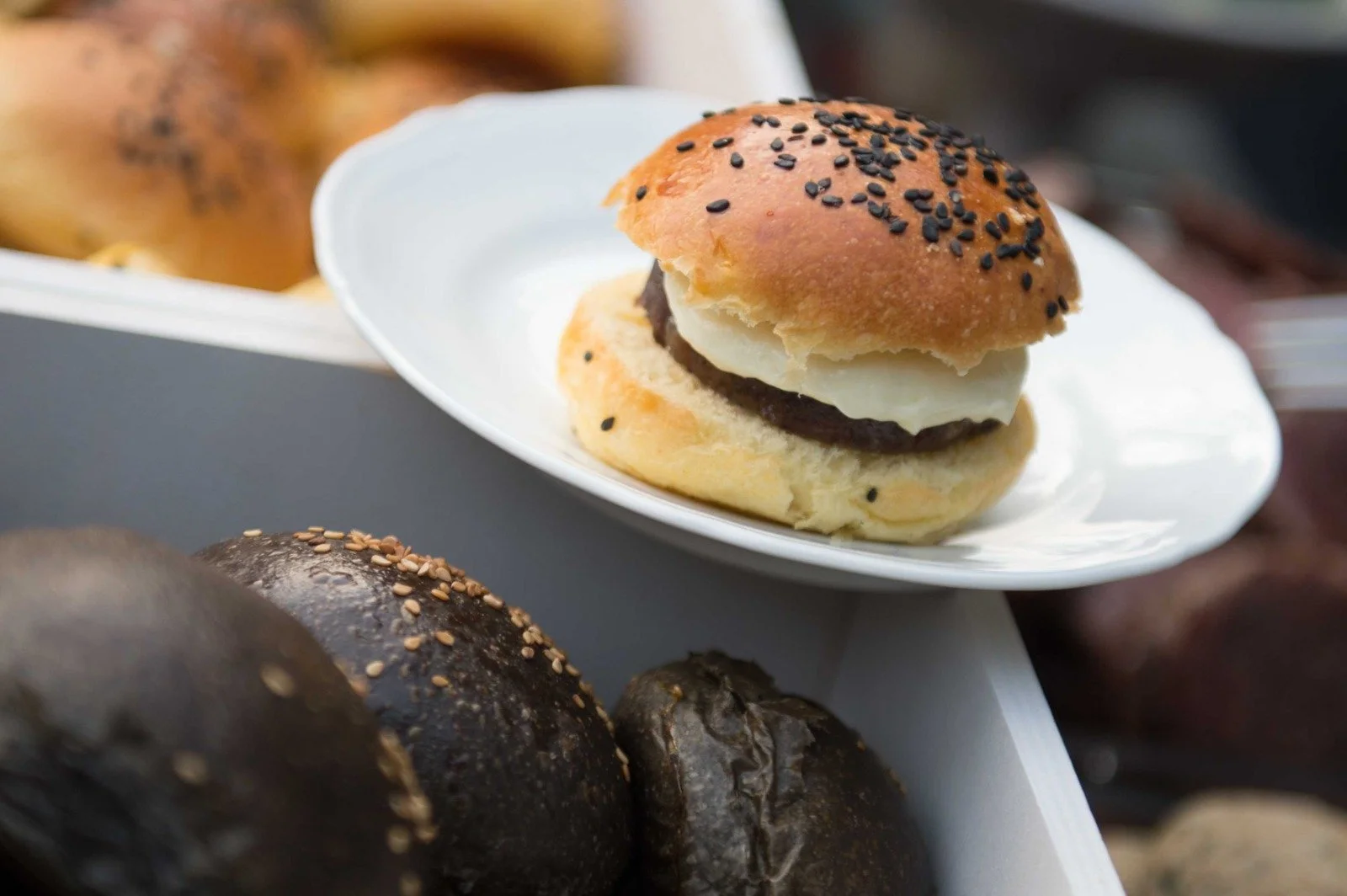 PHOTO-2022-03-16-20-58-19 2.jpg