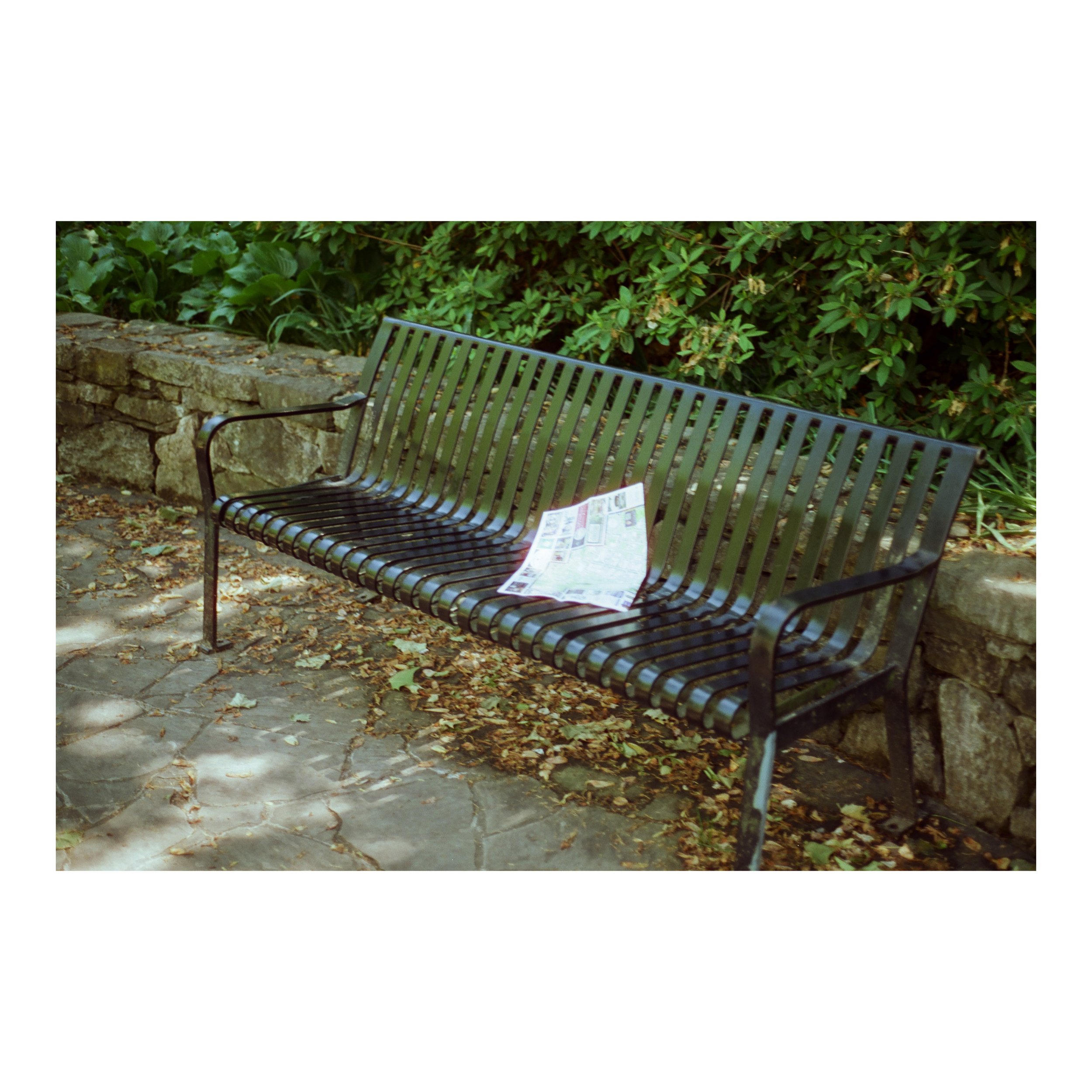 Whitagram-Image.jpeg