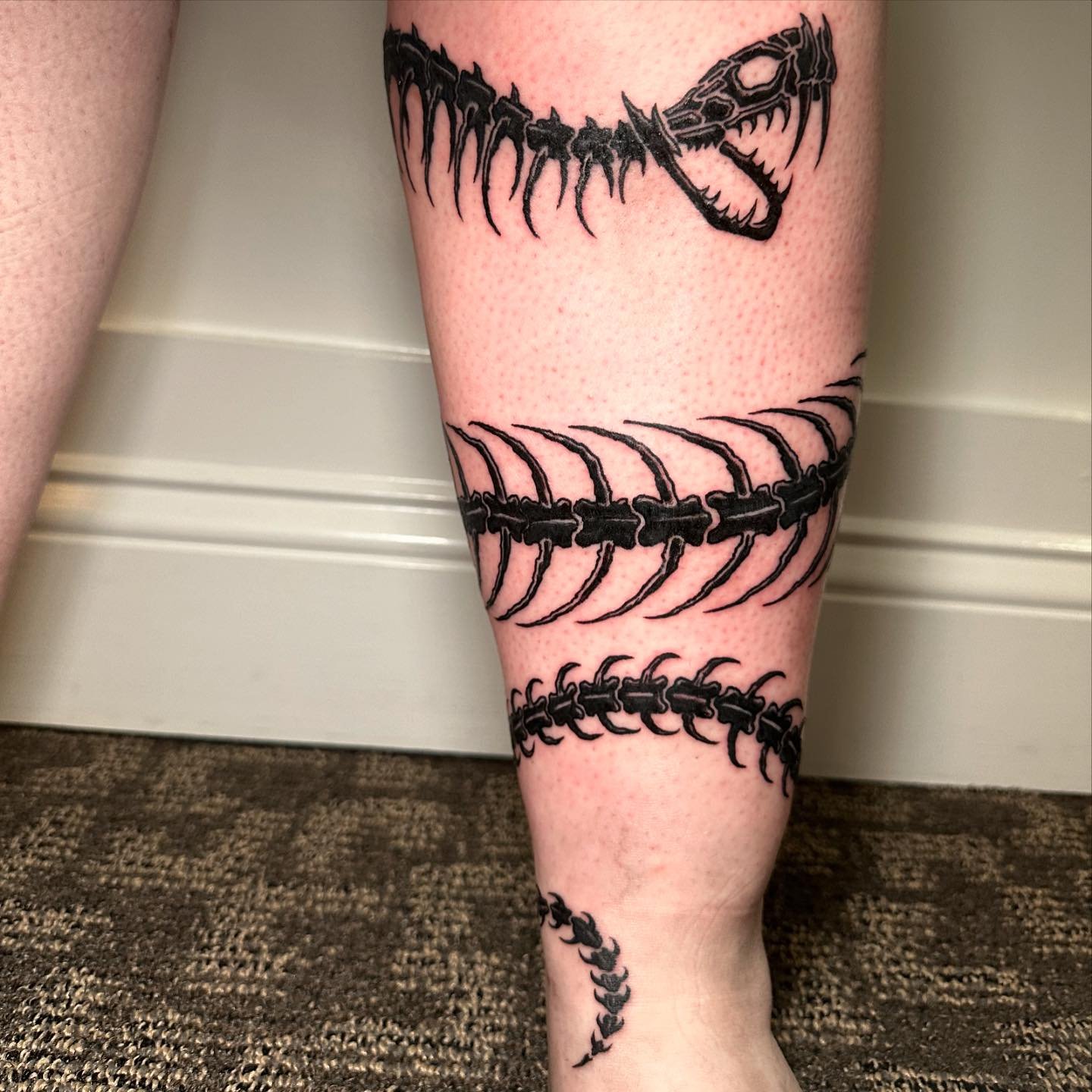 Fun freehand snake skeleton on the leg from today was tough to get a good video. 
.
.
.
#Tattoo #sacredarttattooct #ct #ctink #connecticut #connecticuttattoos #blackandgreytattoo #thevalley #peakneedles 
#bishoprotary