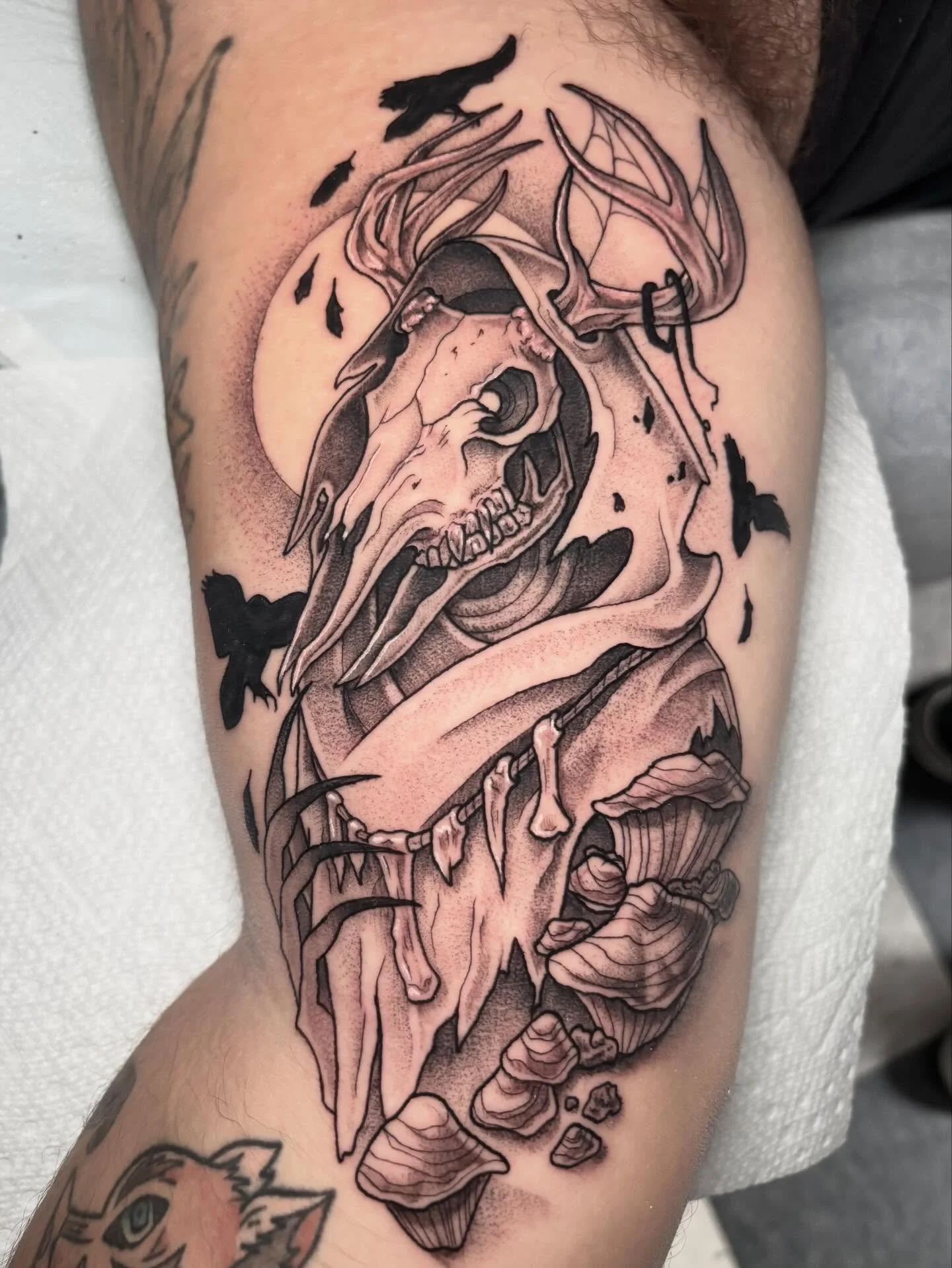 Leshen from The Witcher for Adam. Give me more spooky creatures!!! Thank you for the trust!
.
.
.
.
.
.
.
.
#sacredarttattooct #tattooapprentice #colortattoo #blackandgreytattoo #illustration #art #womenaprentice #wow #tattooct #tattoo #cttattoo #tat