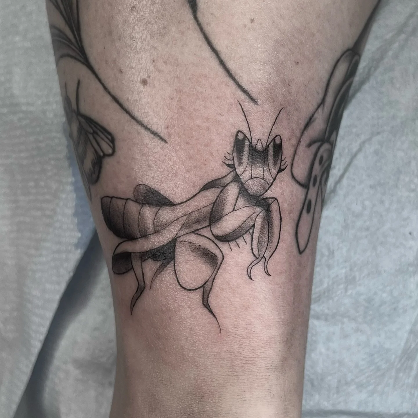 did my mantis from my whimsical flash sheet for sharolin!!! thank you again diva for getting this cutie!!!! 

i am booking for october and november still, dm to claim a spot!!!

[ #myart #flash #flashsheet #digitalart
#digitalillustration #illustrati