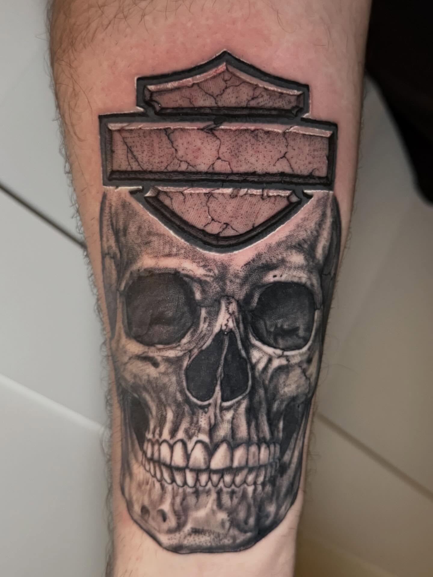 Skull a week into healing, had to spice up the Harley symbol to help everything flow together total time on both approximately 3 hours. 
.
.
.
#Tattoo #sacredarttattooct  #ctink #inked #connecticuttattoos #blackandgreytattoo #peakneedles #americantra