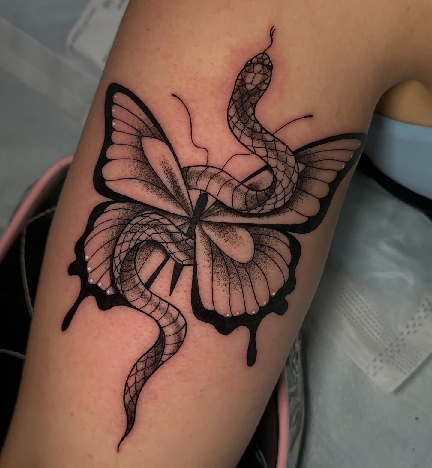 🦋🐍
.
.
.
#sacredarttattooct#cttattoo#butterflytattoo#taylorswift#