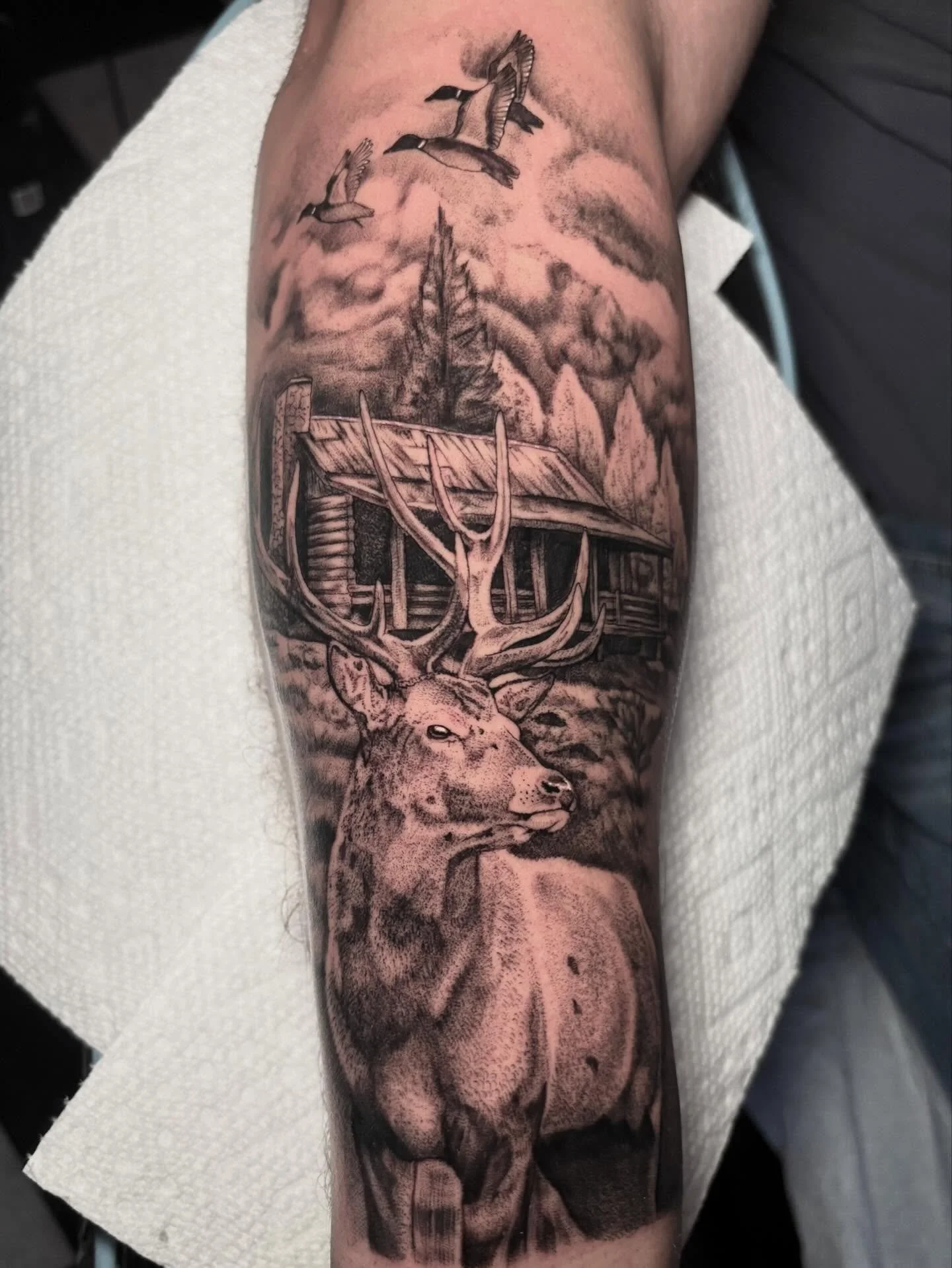 Cannot wait to add more to this arm. Thank you Jack for the trust! 🦌🦆🌾
.
.
.
.
.
.
.
.
#sacredarttattooct #cttattoo #cttattooartist #ladytattooers #girltattooartist #ctink
#tattooideas #illustration #artist #deer #deertattoo #ducks #ducktattoo #ca