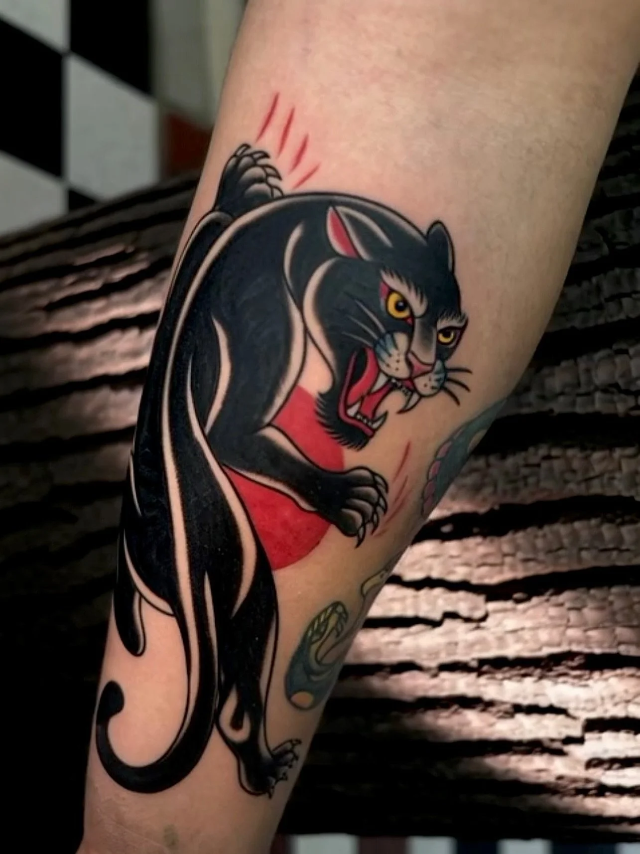 An unbreakable Traditional Panther for for Eddie. @sacredarttattooct #panthertattoo #ctink #cttattoo #cttattooshop #cttattooartists