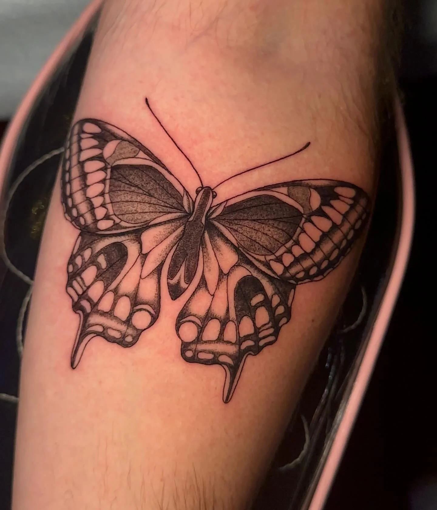 🦋💀
.
.
.
#scaredarttattooct#cttattoos#skullbutterfly#christmas#holiday
