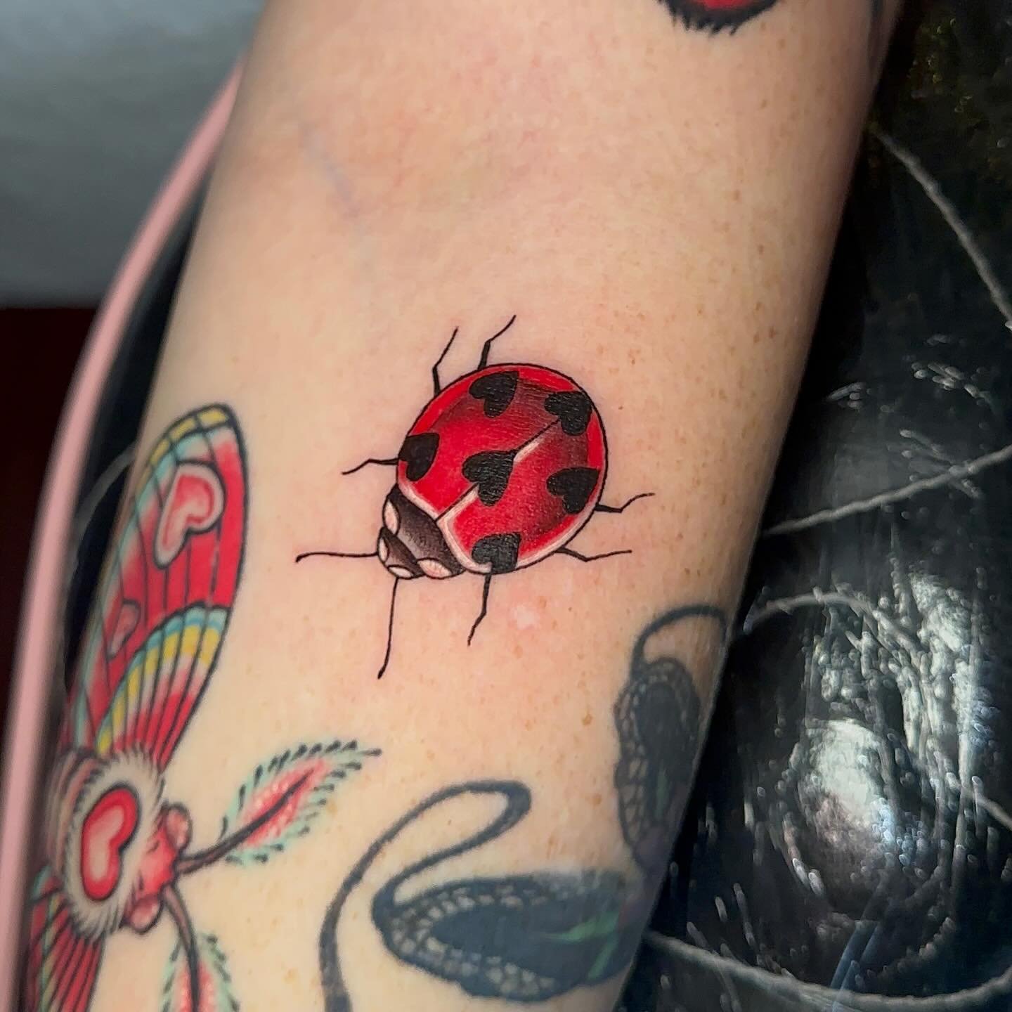 Tiny beeb 🐞 (other work pictured not by me)
.
.
.
#sacredarttattooct#cttattoo#ladybugtattoo#ladybug#christmas