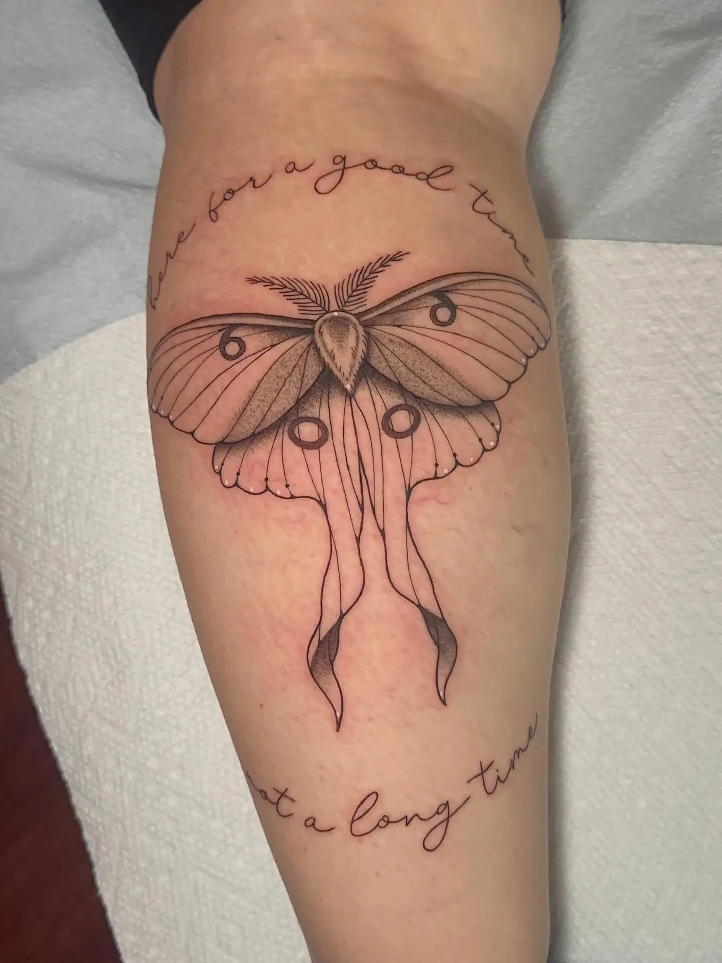 &ldquo;Here for a good time, not a long time&rdquo; 💫
.
.
.
#sacredartattooct#tattooct#mothtattoo#quotetattoo#calftattoo