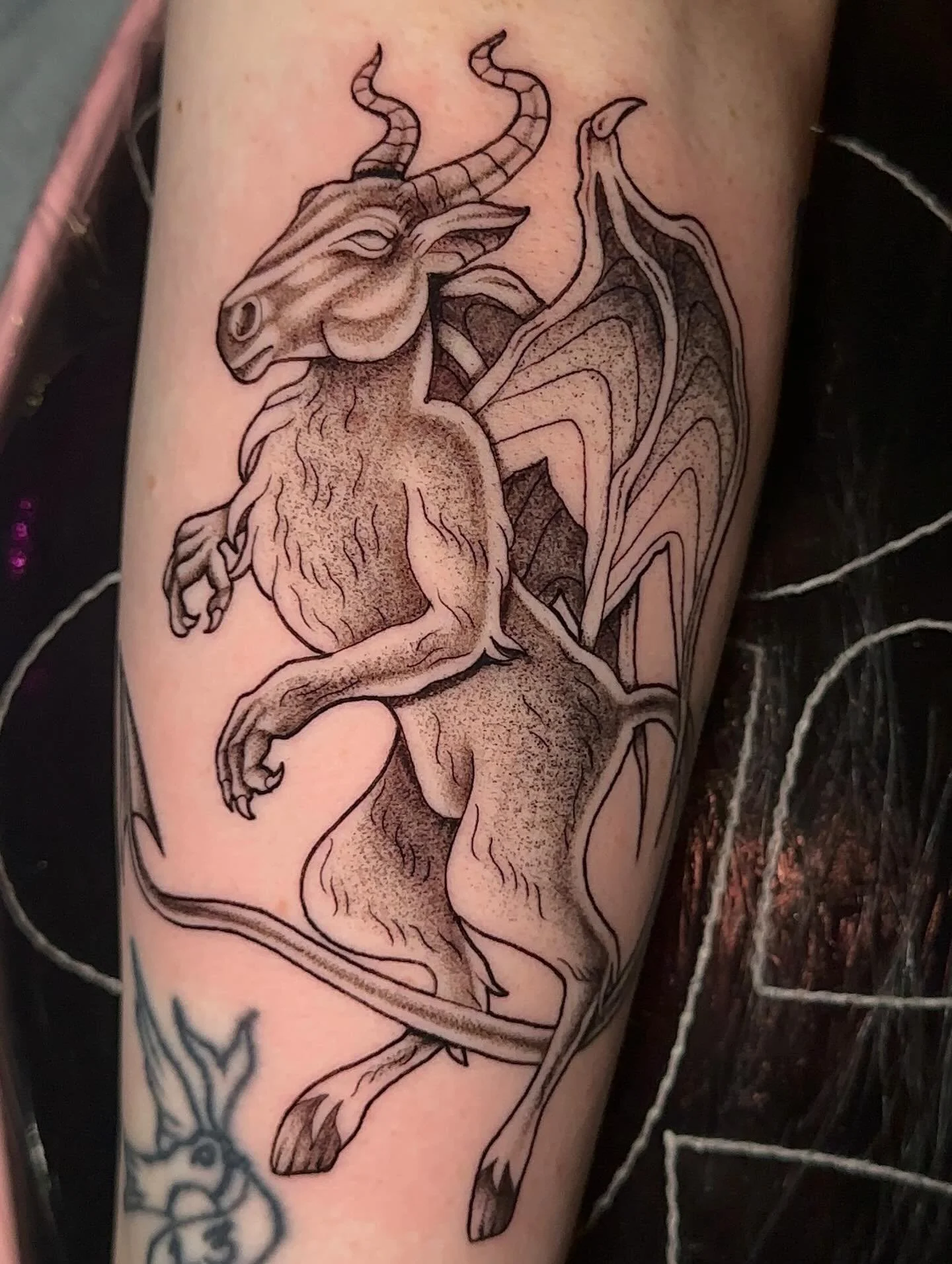👹THE JERSEY DEVIL👹 obsessed with this, more spooky creatures please!! 
.
.
.
#sacredarttattooct#tattooct#jerseydevil#cryptidtattoo#spookytattoo