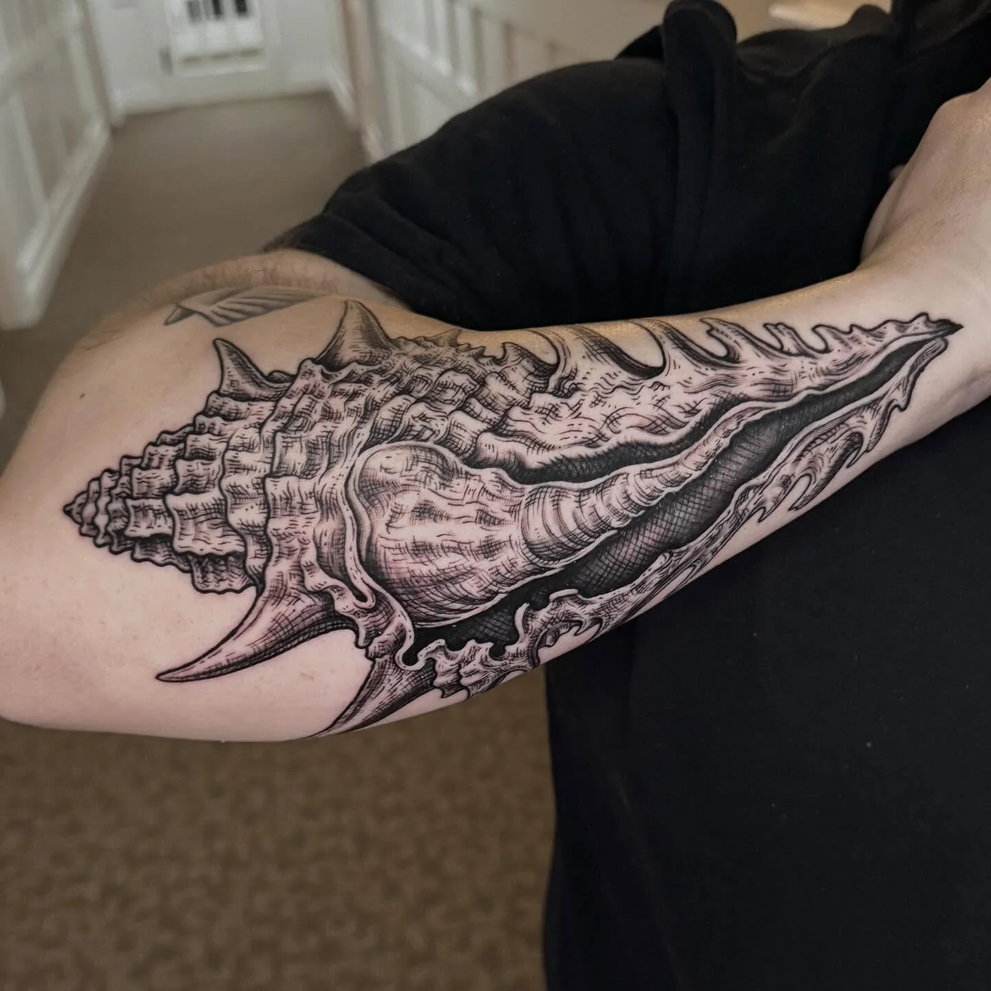 Fun woodcut shell from today! 🐚 
.
.
.
#sacredarttattooct  #ctink #inked #connecticuttattoos #blackandgreytattoo