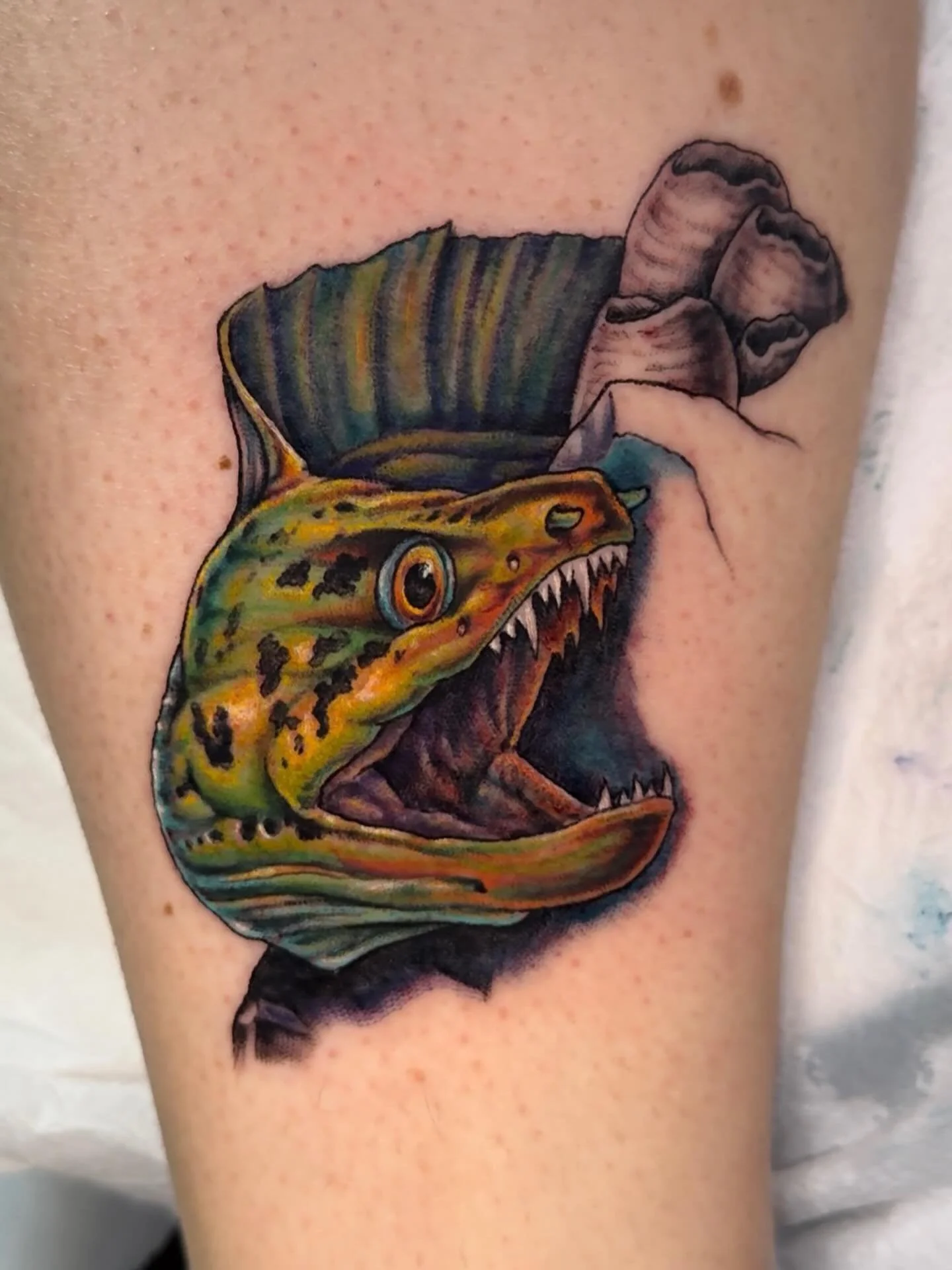 Fun start to an aquatic piece! 🐠 
.
.
.
#sacredarttattooct  #ctink #inked #connecticuttattoos #colortattoo