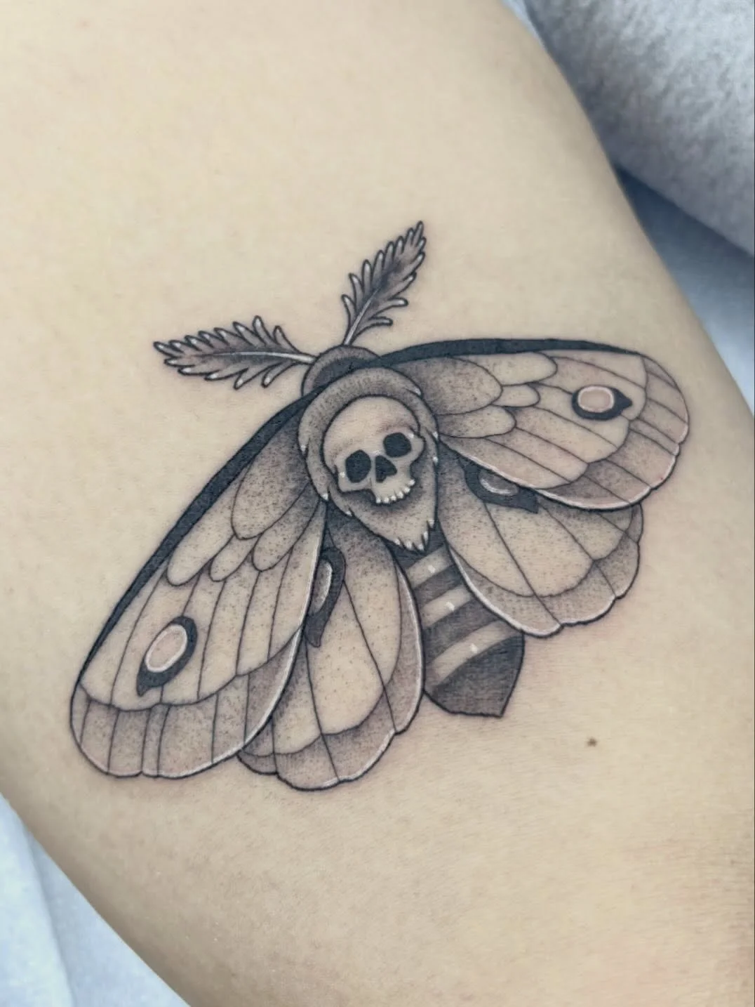 Little death moth!💀
.
.
.
.
.
#sacredarttattooct #cttattooartist #deathmothtattoo #mothtattoo #bugtattoo