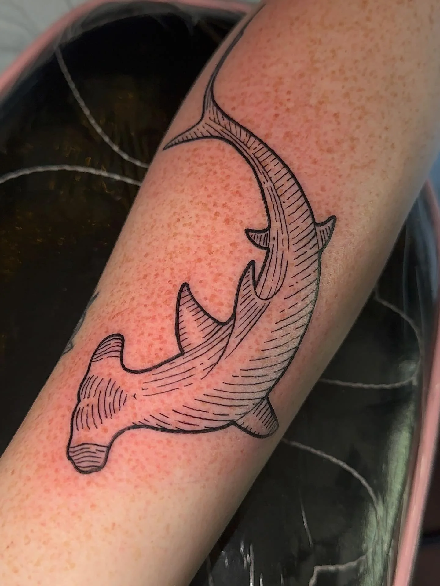 SHARKKKKK! This is from a while ago and idk how I never posted it! :) 🦈
.
.
.
#sacredarttattooct#tattooct#sharktattoo#woodcuttattoo#hammerheadshark
