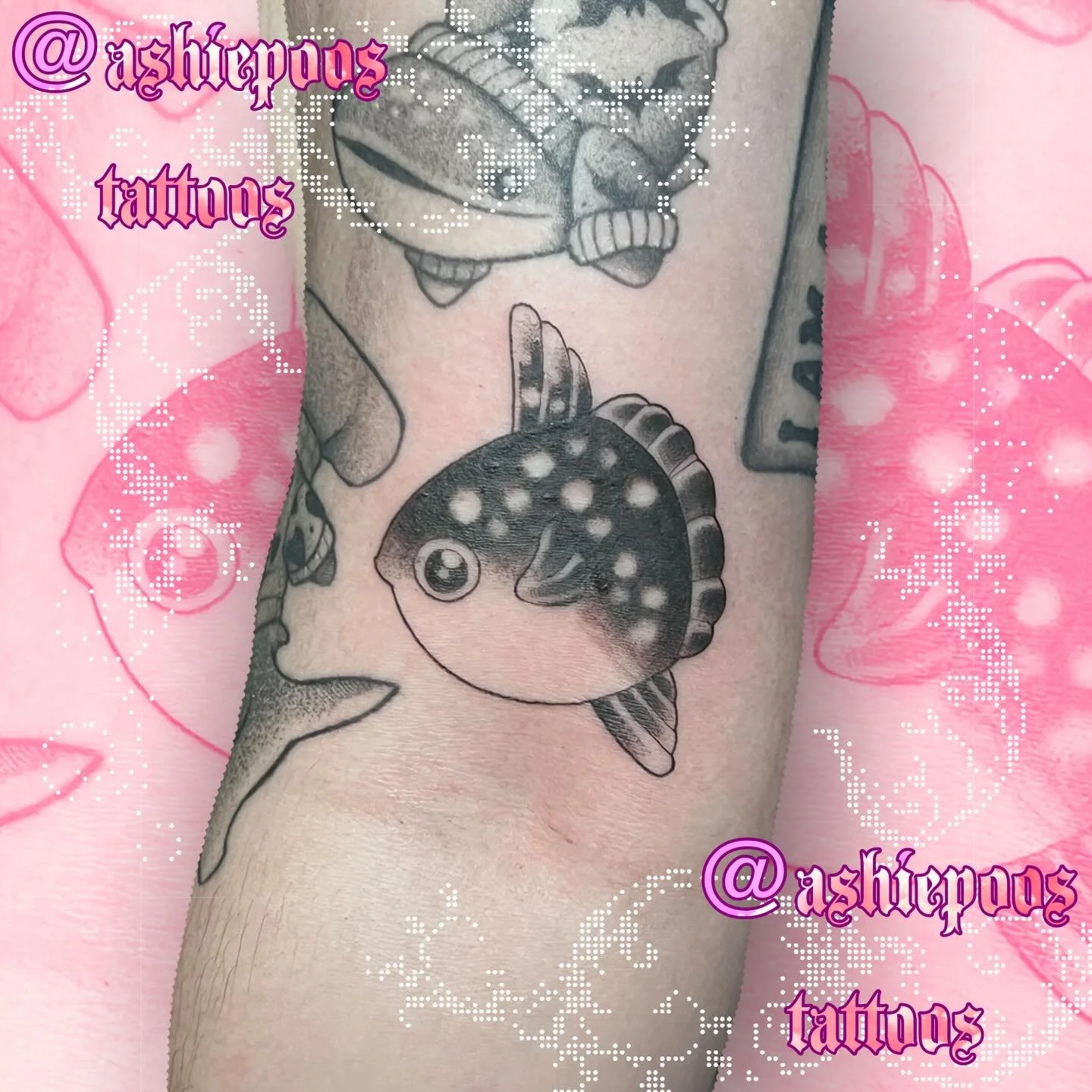 did my sunfish and stag beetle in grayscale for hannah!! thank u again diva!! 

#tattoo #sunfish #stagbeetle #blackandgraytattoo #cutetattoo