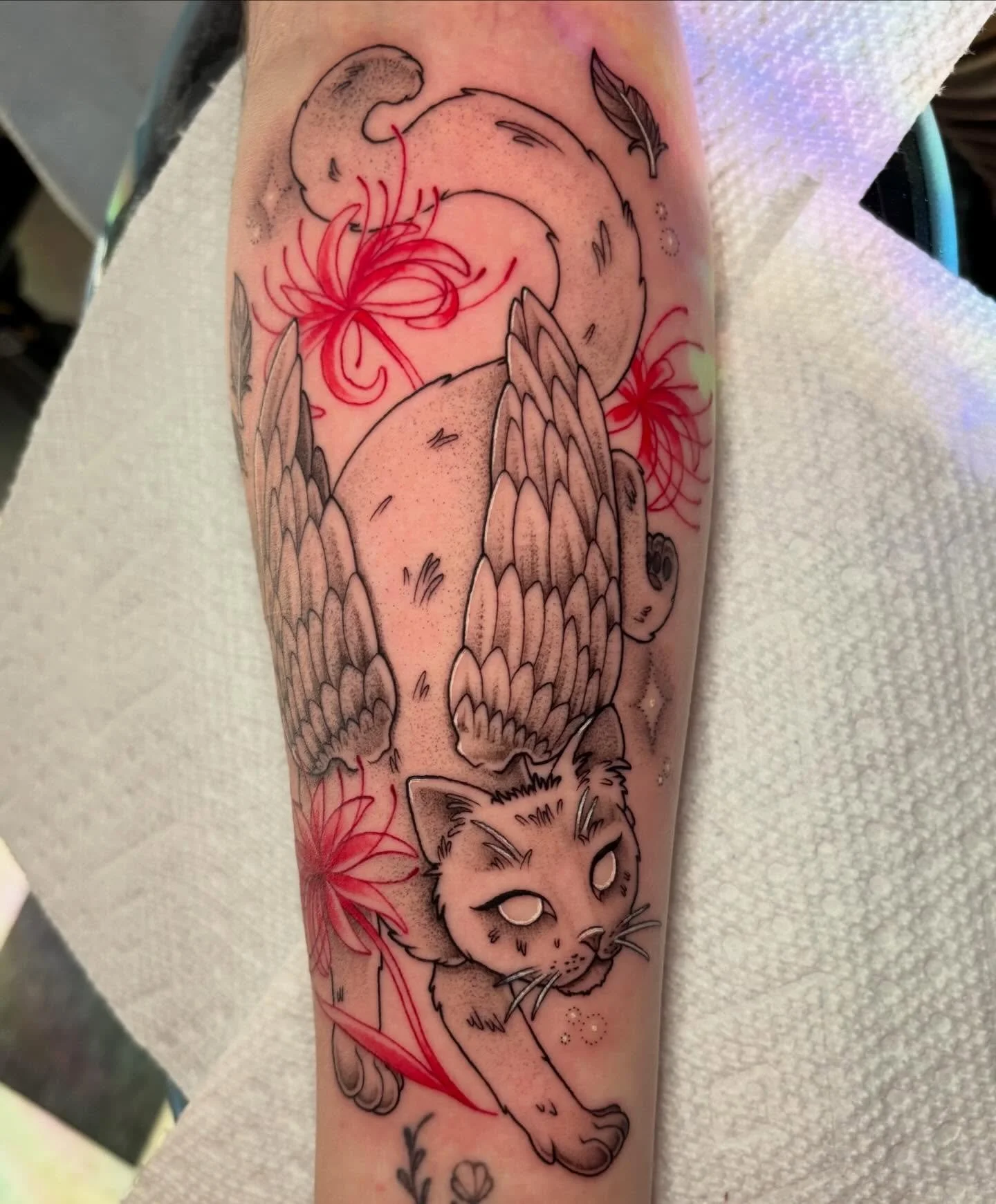 Little kitty for Elena! So stinking cute please gimme more like this!! 🐈🌸
.
.
.
.
.
#sacredarttattooct #cttattooartist #cattattoo #spiderlilytattoo #cutetattoo