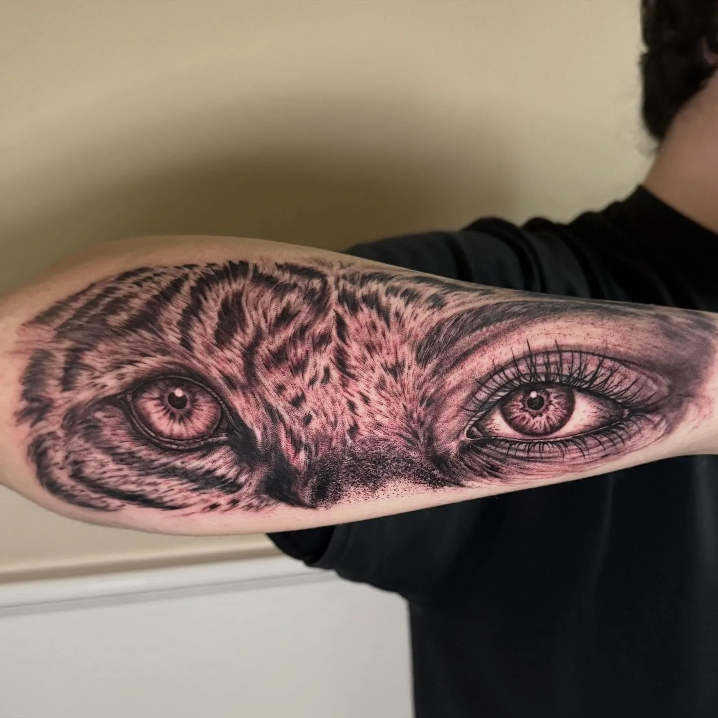 Had a blast doin this tiger face split today! 
.
.
.
#sacredarttattooct  #ctink #inked #connecticuttattoos #blackandgreytattoo