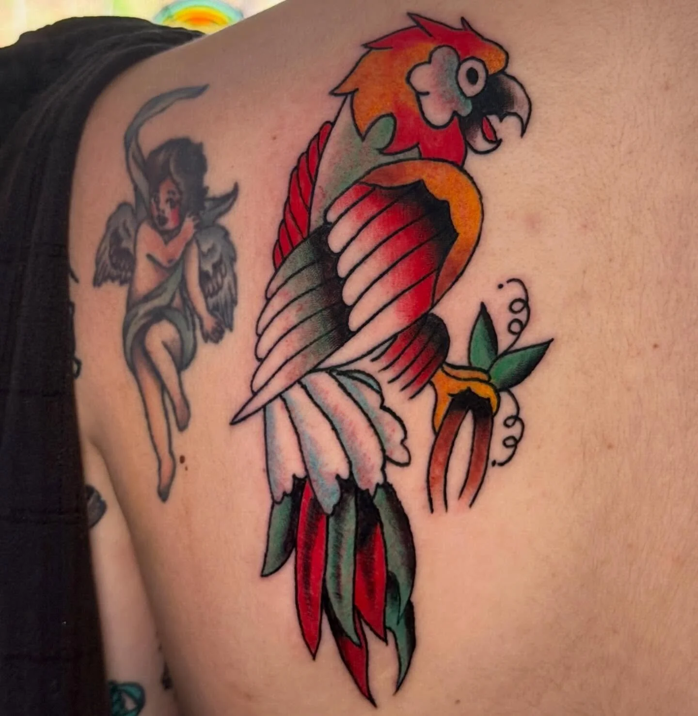 lil parrot today off my flash! thank you for coming in arianna 🦜
(other work not by me)

#americantraditional #americantraditionaltattoo #parrottattoo #americantraditionalflash #tattooflash